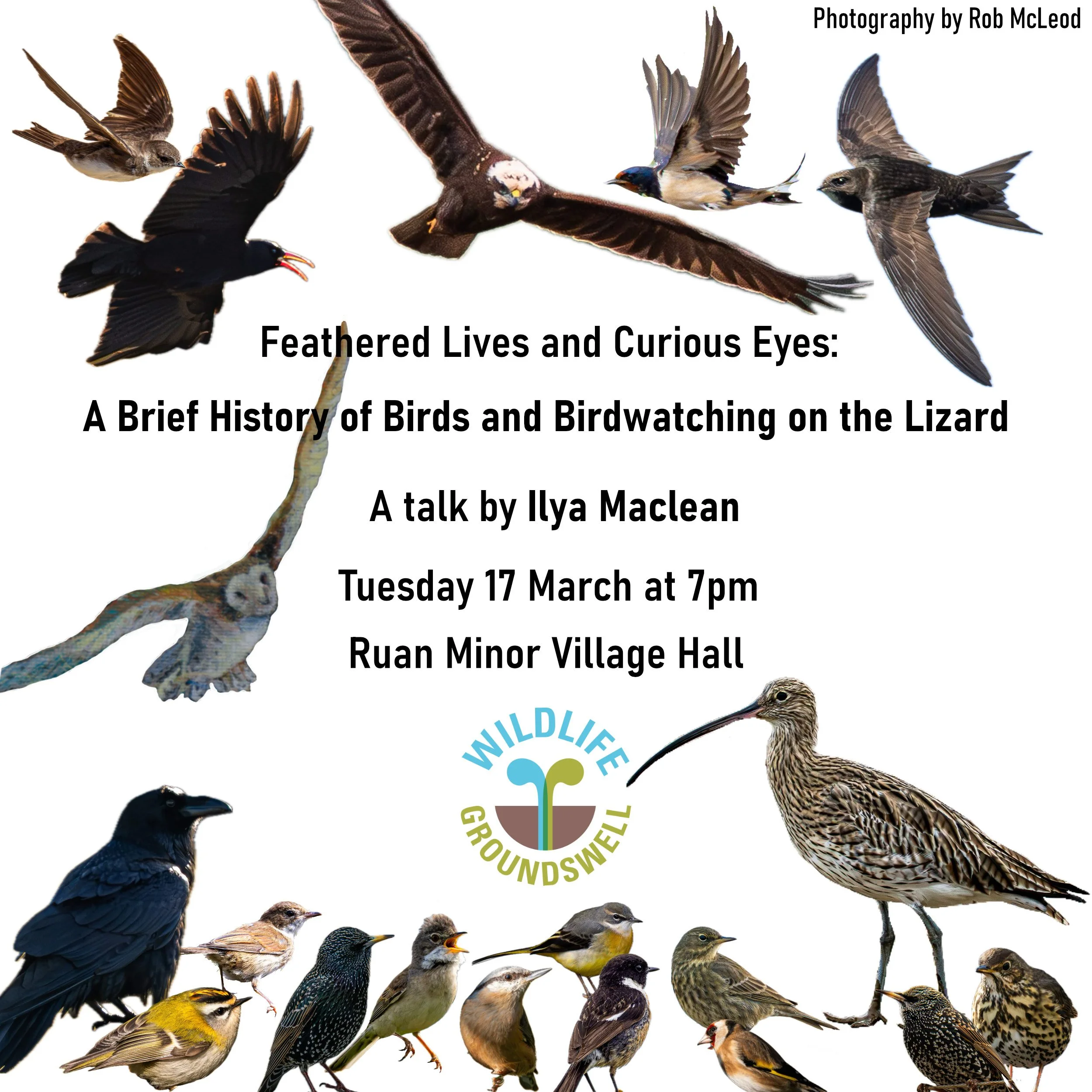 bird poster talk.jpg