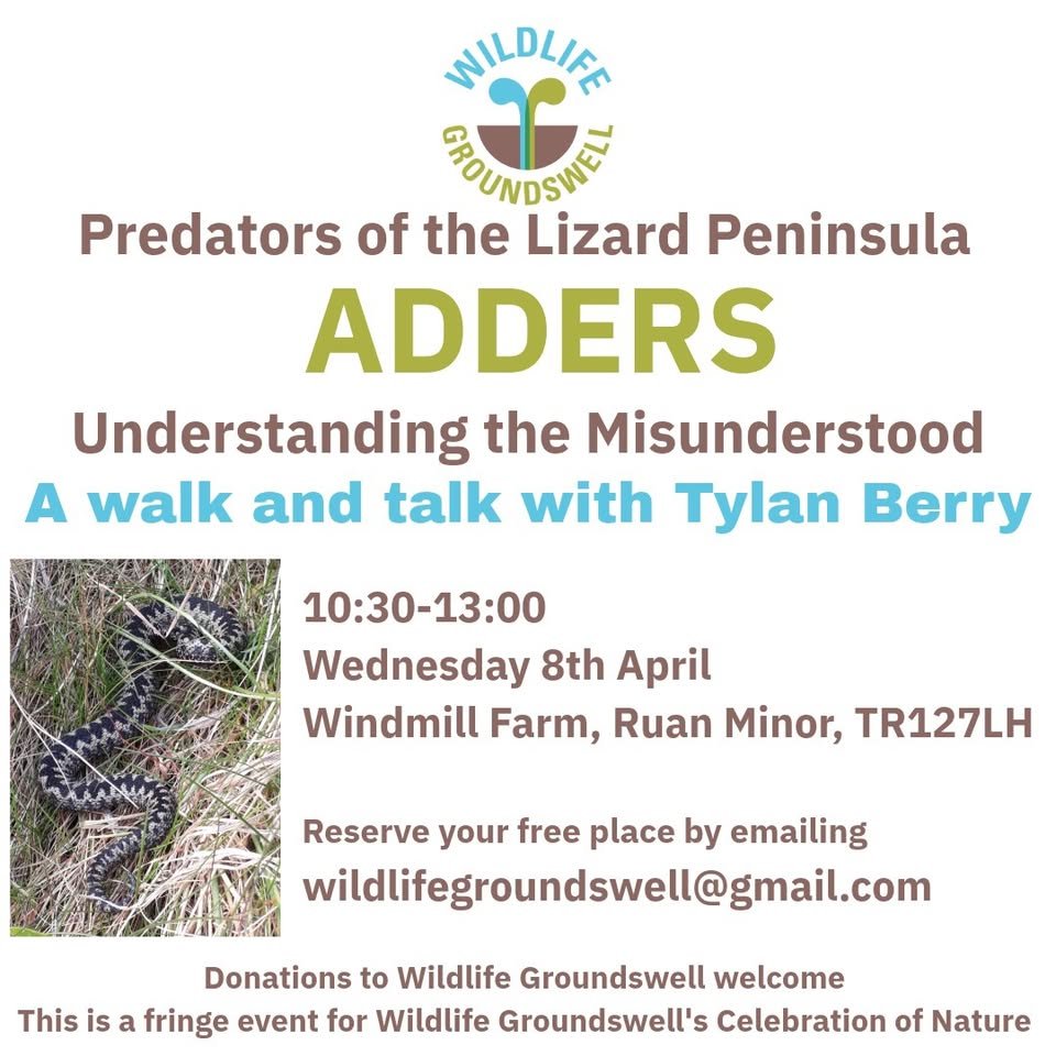 ADDERS - talk and walk