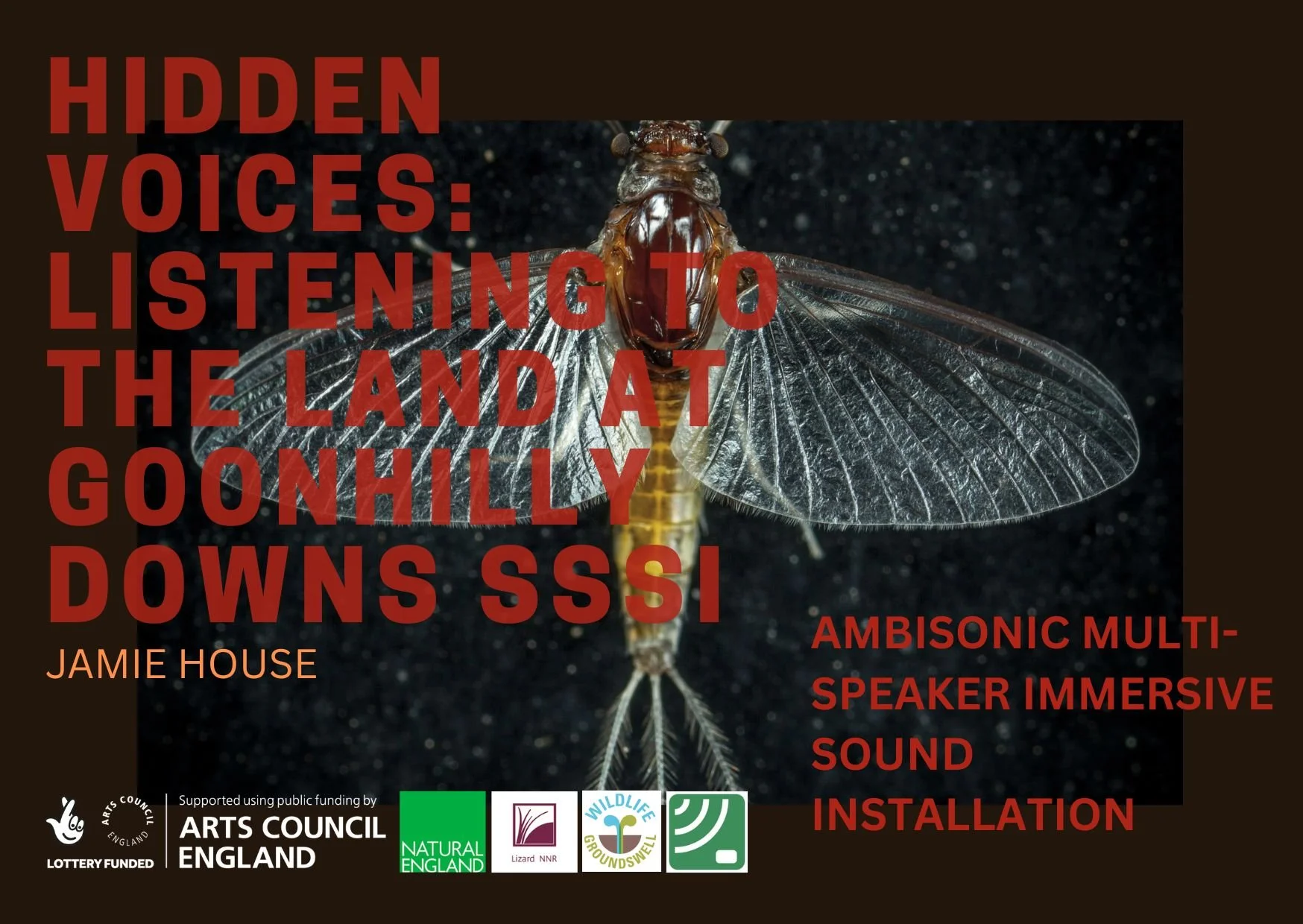 click on the image to sample the sound installation