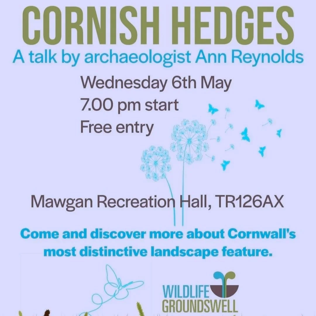 Cornish Hedges