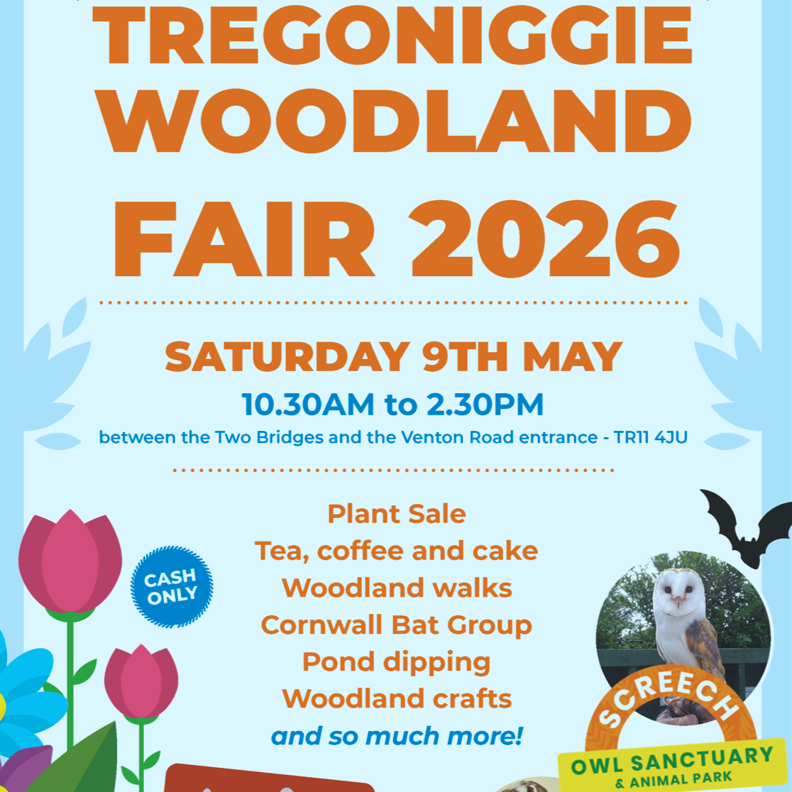 Tregoniggie woodland fair
