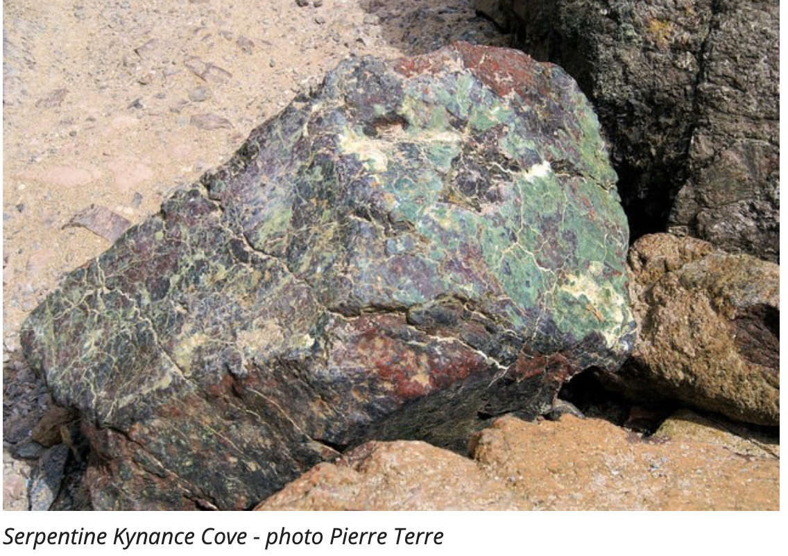 Lizard Geology Field Trips this summer