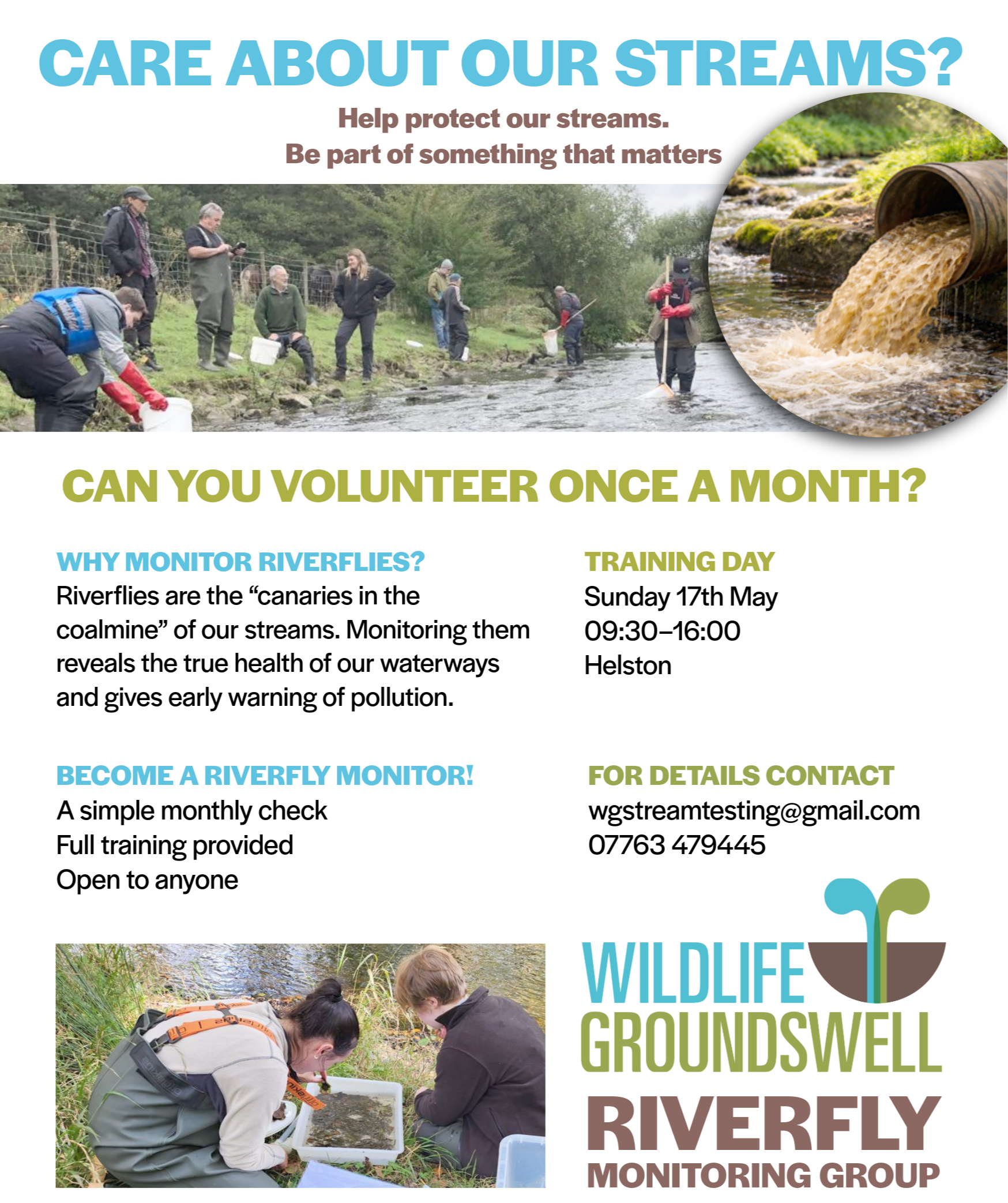 Riverfly stream testing training day