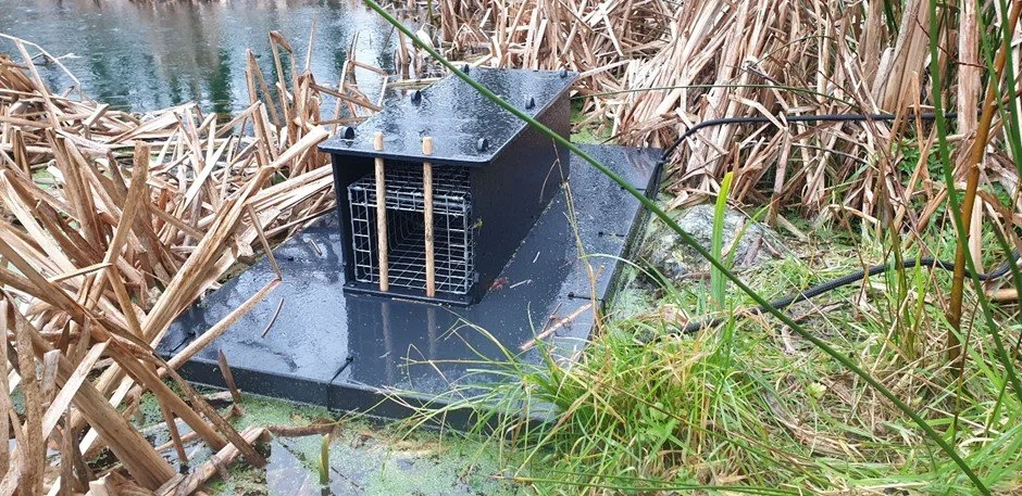 A rafted mink trap
