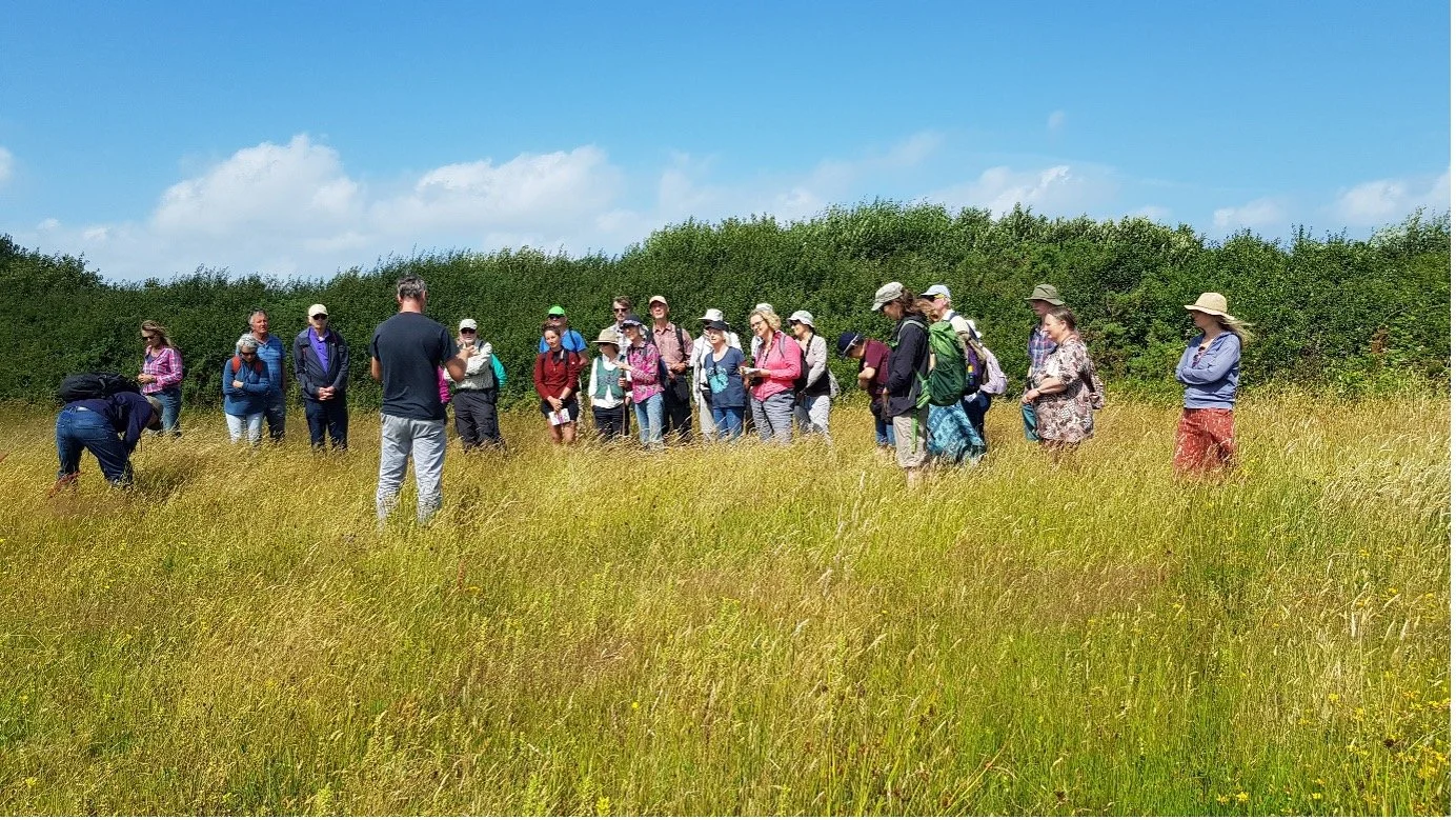   Nick Marriot, West Cornwall Reserve Manager for Cornwall Wildlife Trust, talks about the meadows at Windmill Farm, near Kynance.  