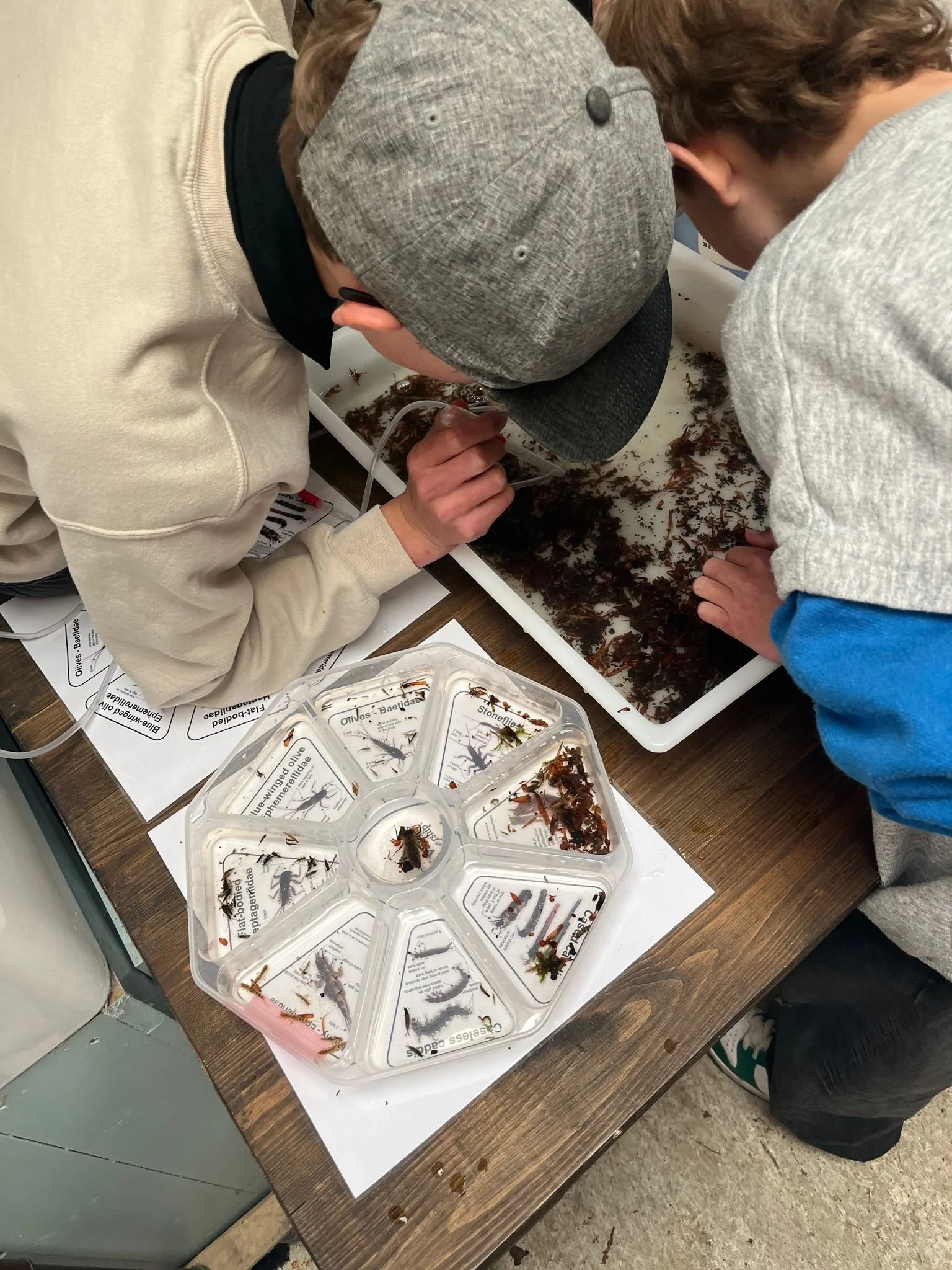 Searching for life in the stream bed, learning Riverfly techniques