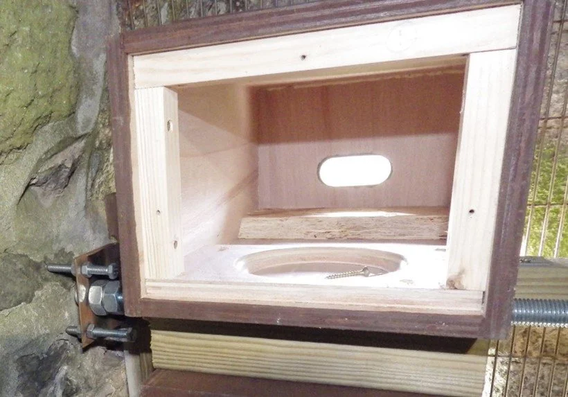 4) The interior of a nestbox.