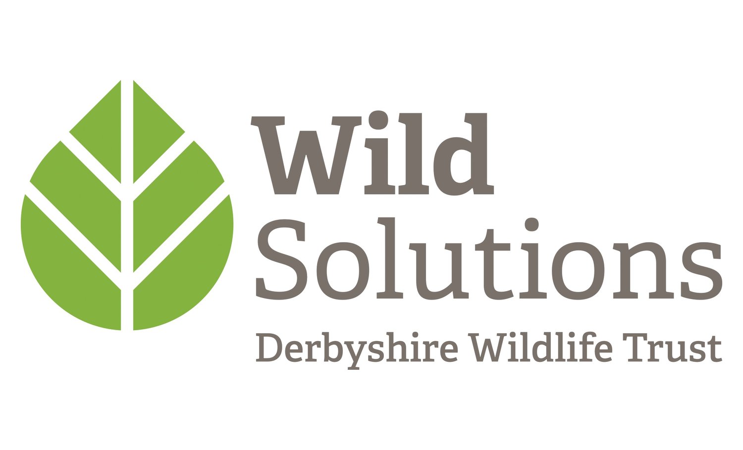 Wild Solutions