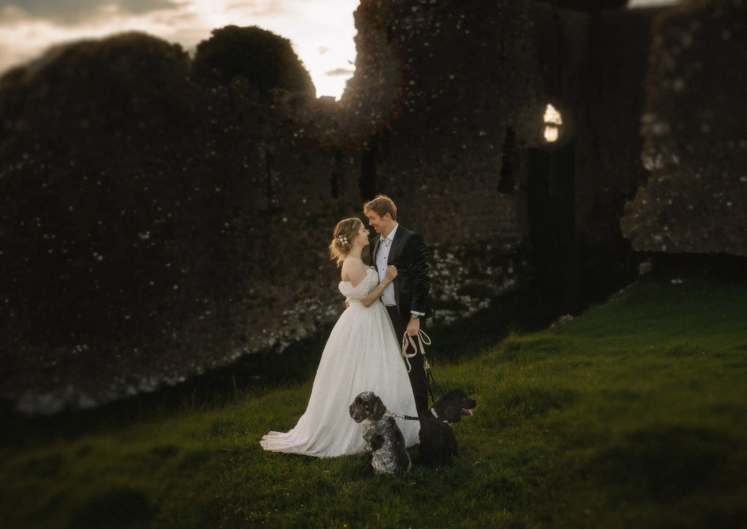 A couple in wedding attire stands closely together, smiling at each other, with two dogs at their feet in a grassy area during sunset. The image is viewed through a natural frame of rocks or coral formations.