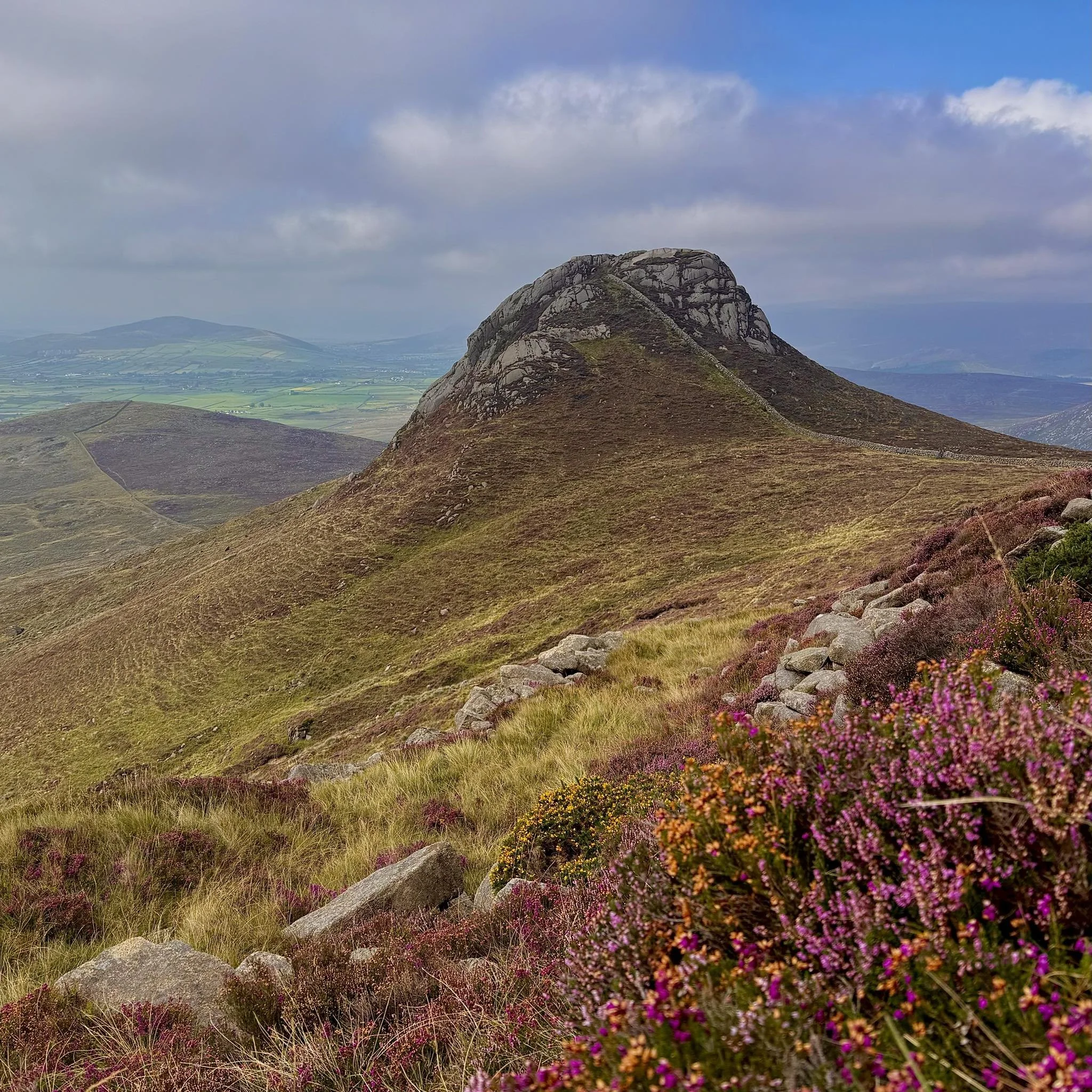 A mountainous landscape with a prominent rocky peak, rolling green hills, and colorful flowering shrubs in the foreground under a partly cloudy sky.