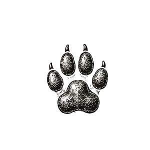 Black and white illustration of a dog's paw print