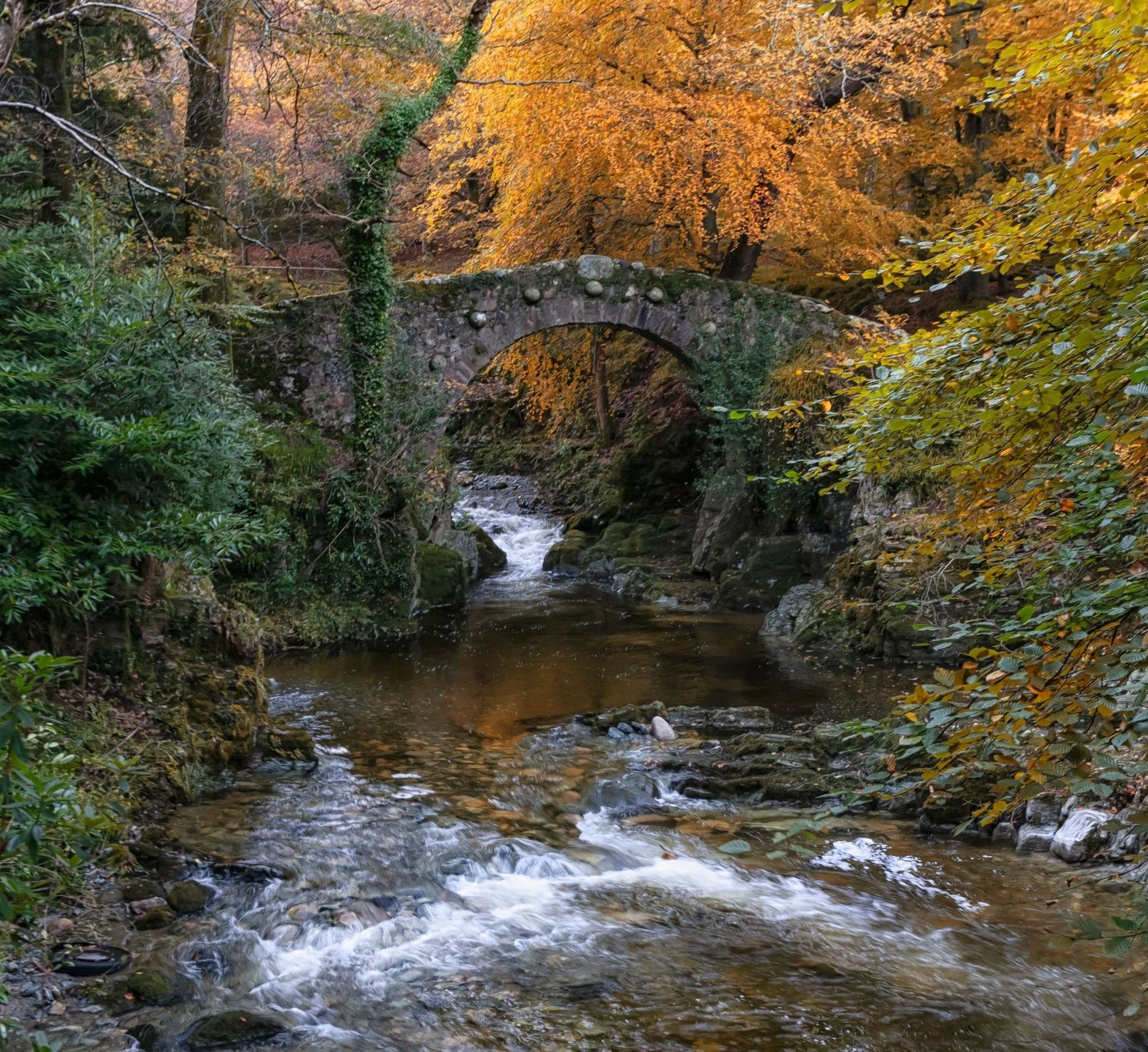 A stone bridge over a flowing creek surrounded by autumn trees with orange and yellow leaves.