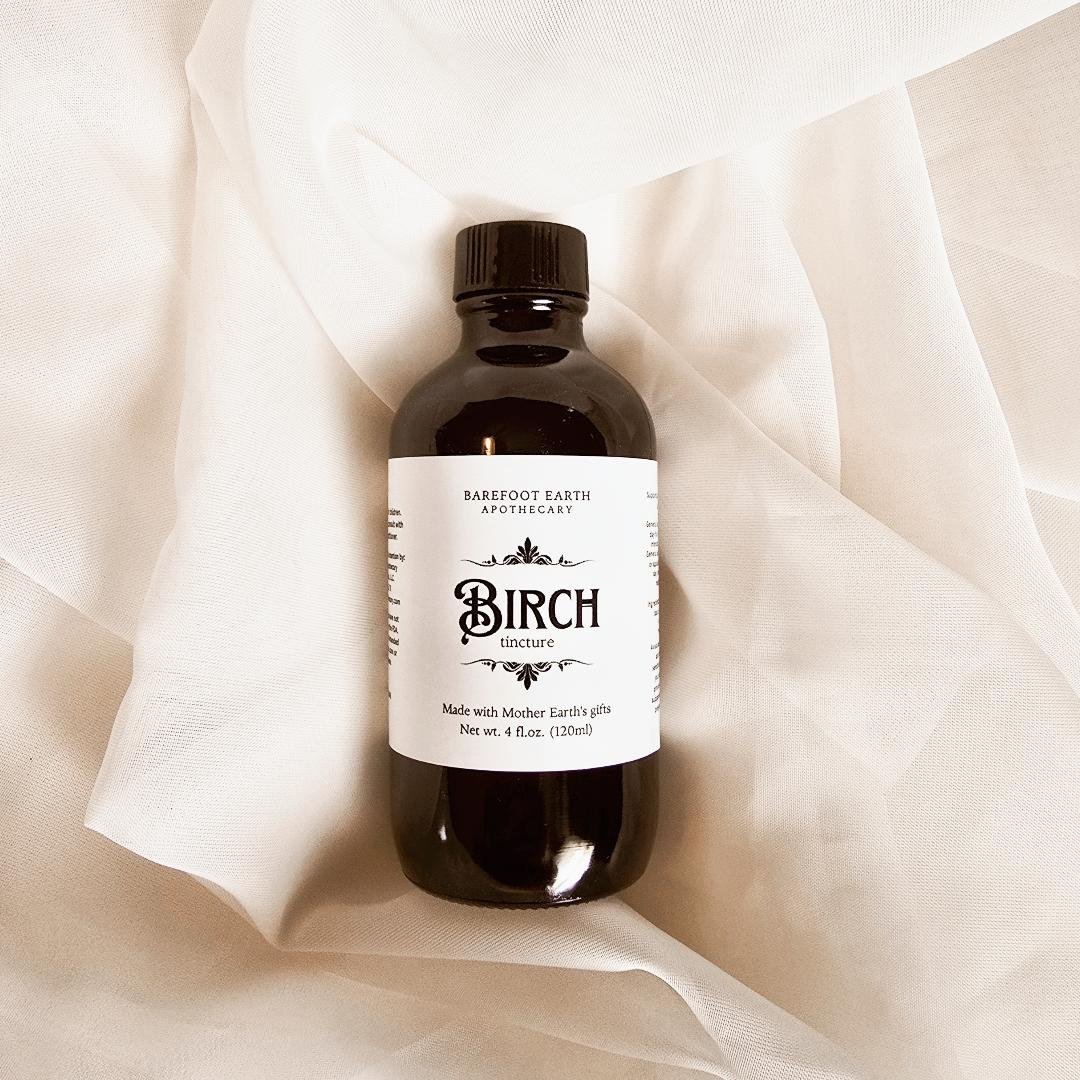 Birch Bark Tincture in bulk.jpg