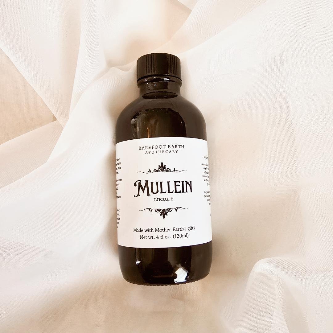 Mullein Tincture fresh leaf.jpg
