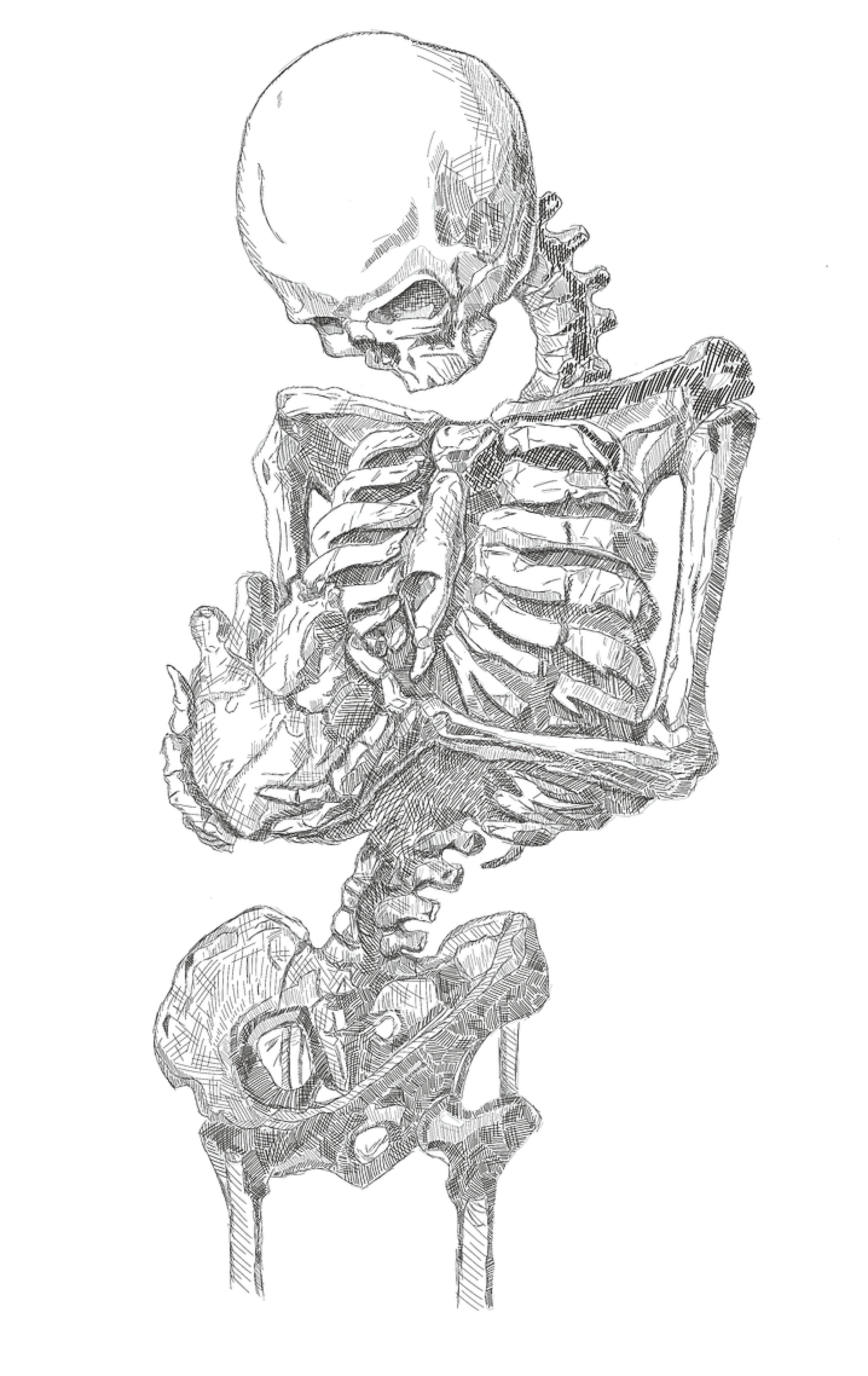 Untitled_Artwork 2.png