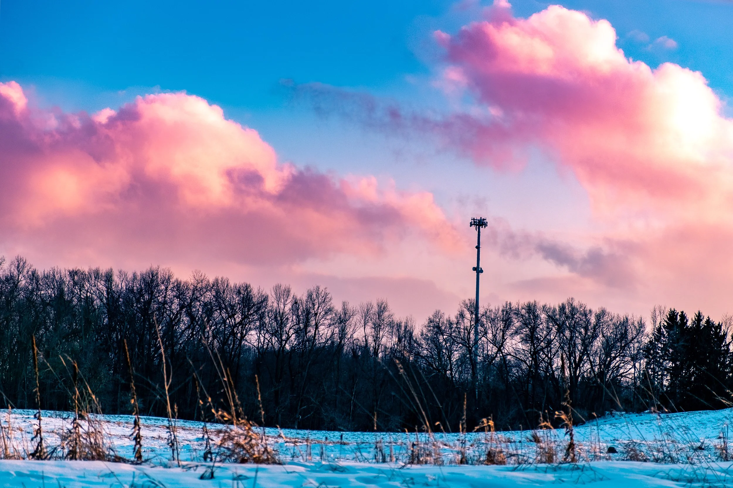 What Is Tower Colocation, and Why Does It Matter for Michigan?