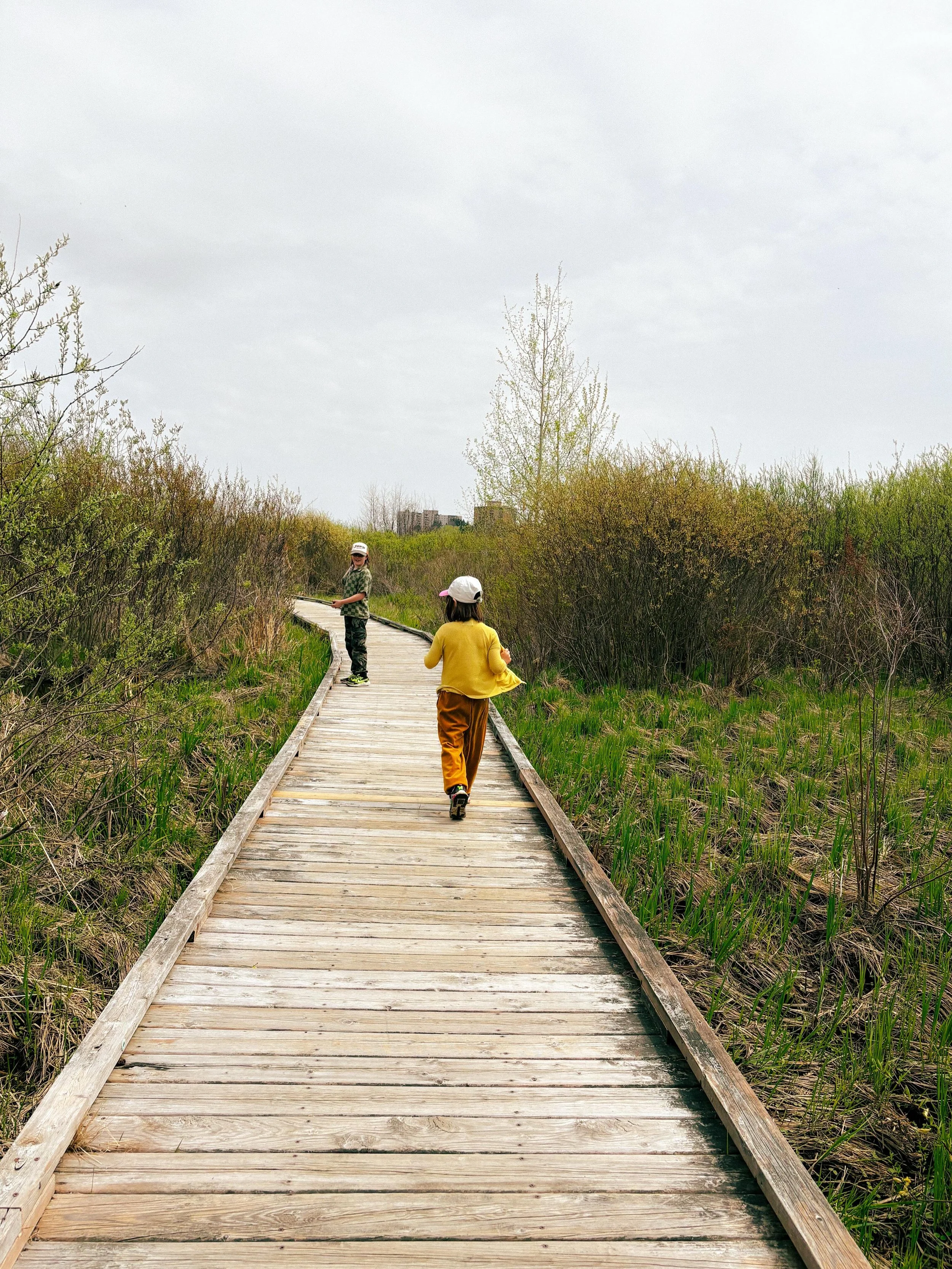 We had a quiet long weekend but it was filled all the best things Northern Ontario has to offer: slow walks, cat tails, good friends, bus rides and silly times. We hope you had a lovely kick off to Spring &amp; got out there when the sun peeked throu