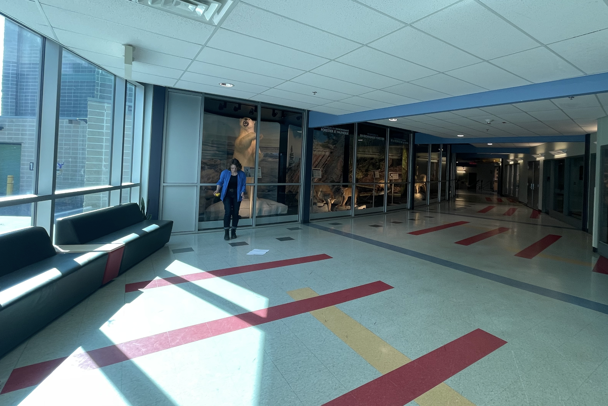Main Hallway