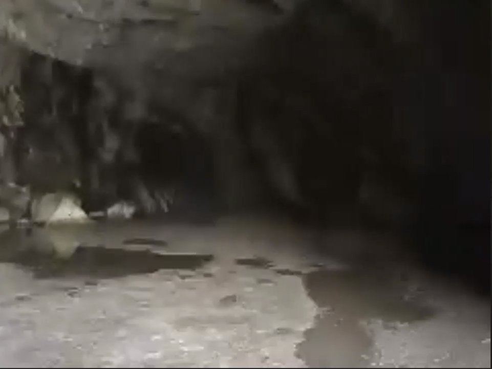 inside.jpg