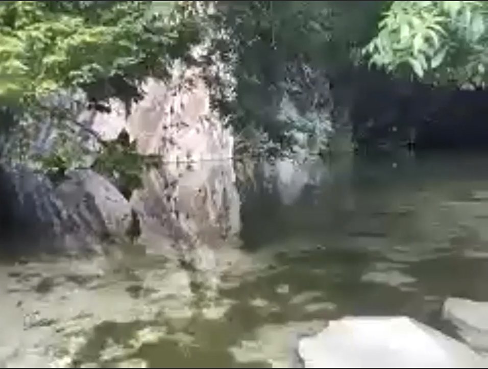 reflections.jpg