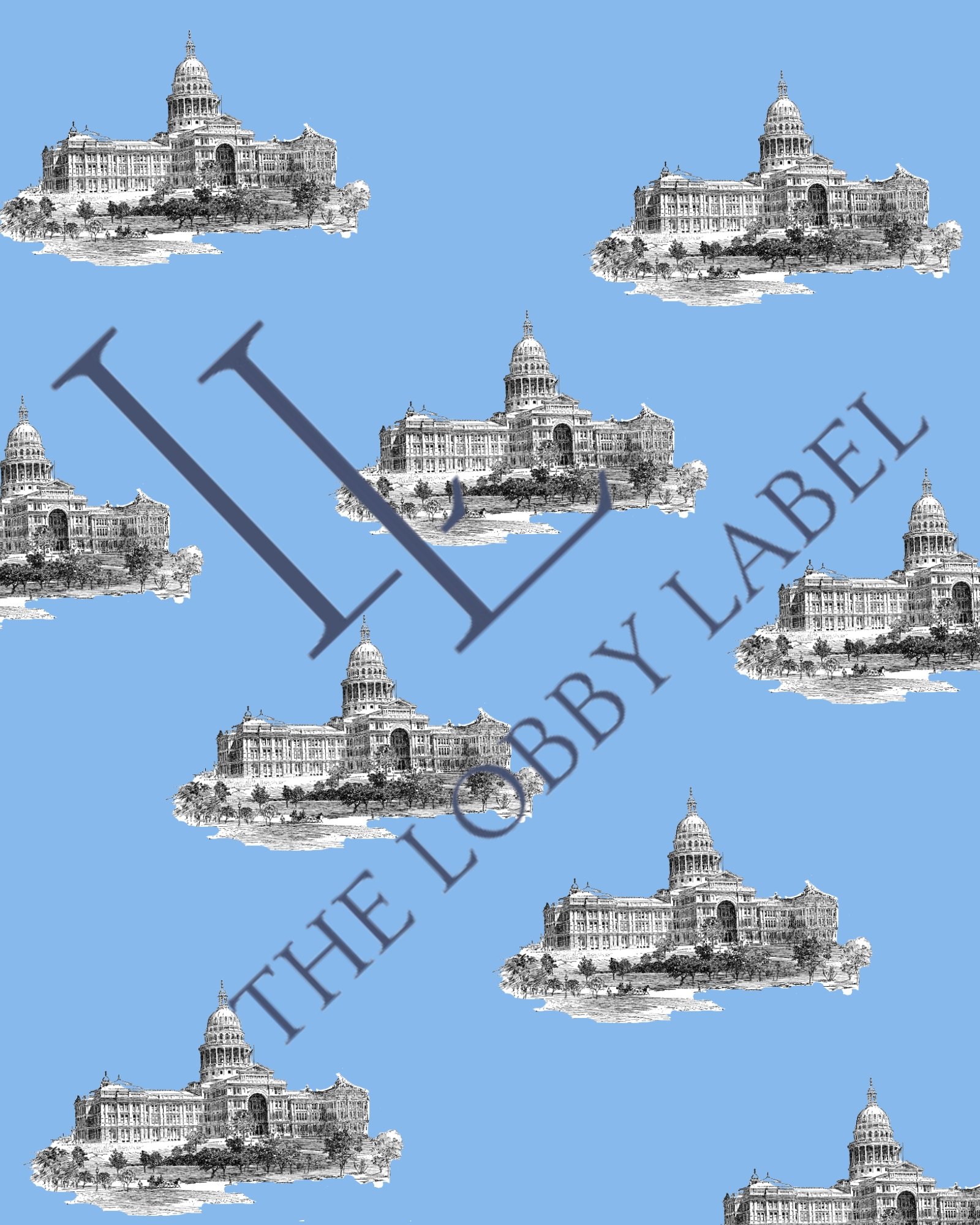 Copy of Copy of The Capitol Collection x ELOVE.jpg