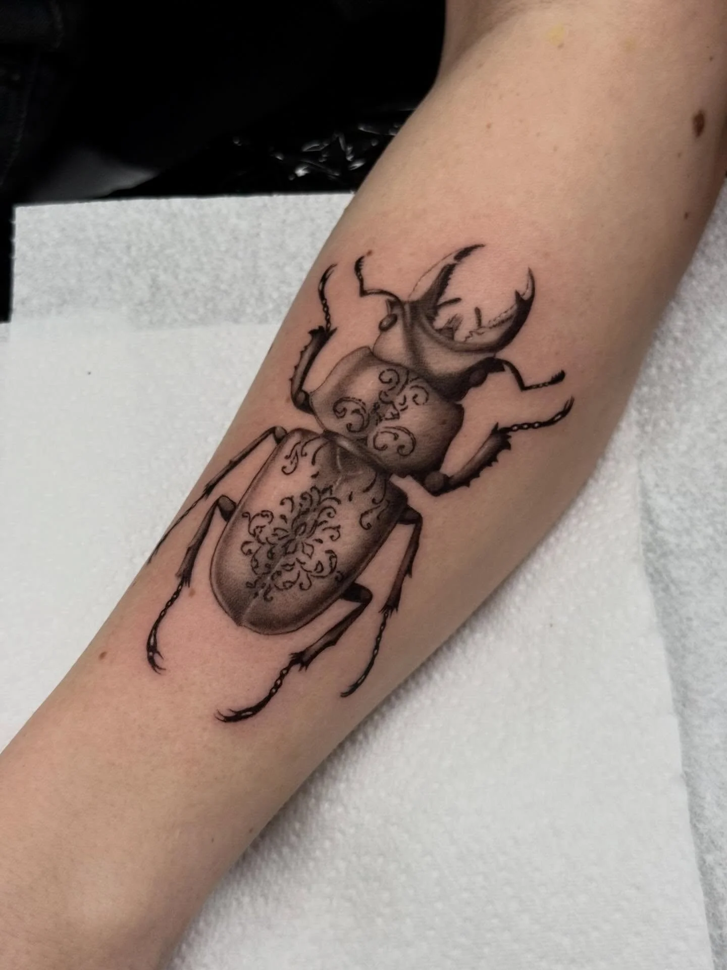 fun lil ornamental beetle for Summer🤍