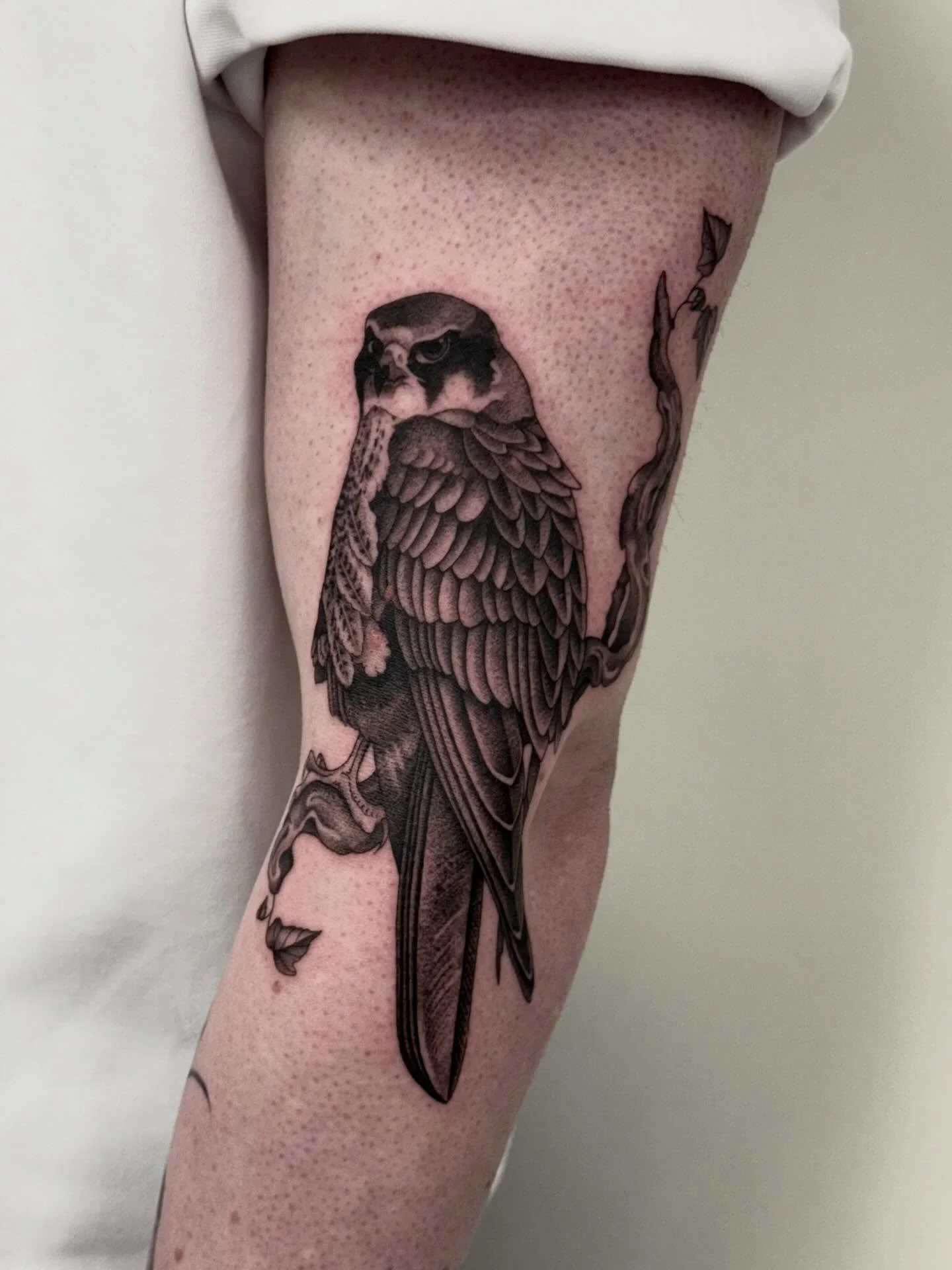 🦅 

#birdtattoos #blackandgreytattoo #woodlandtattoo