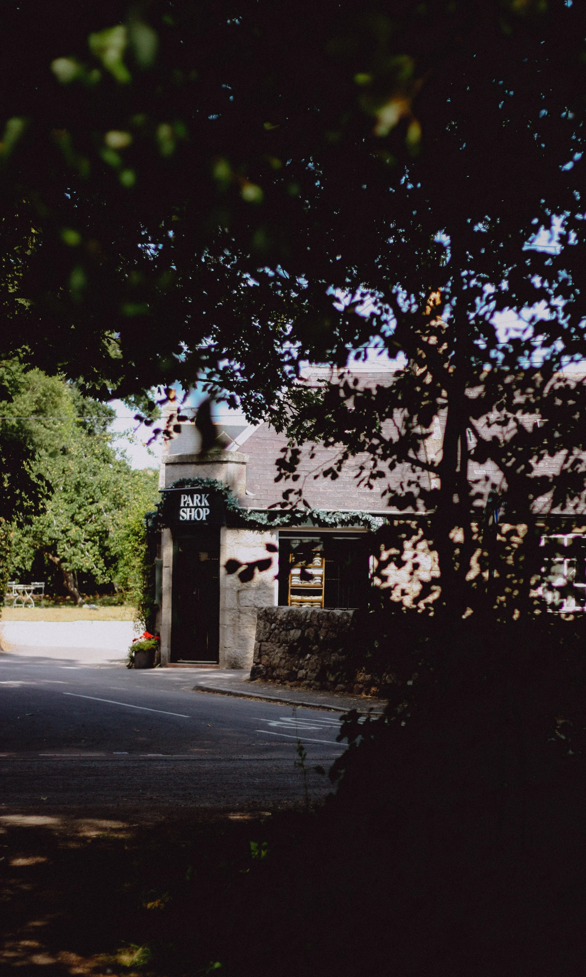 Copy of IMG_8530.jpg