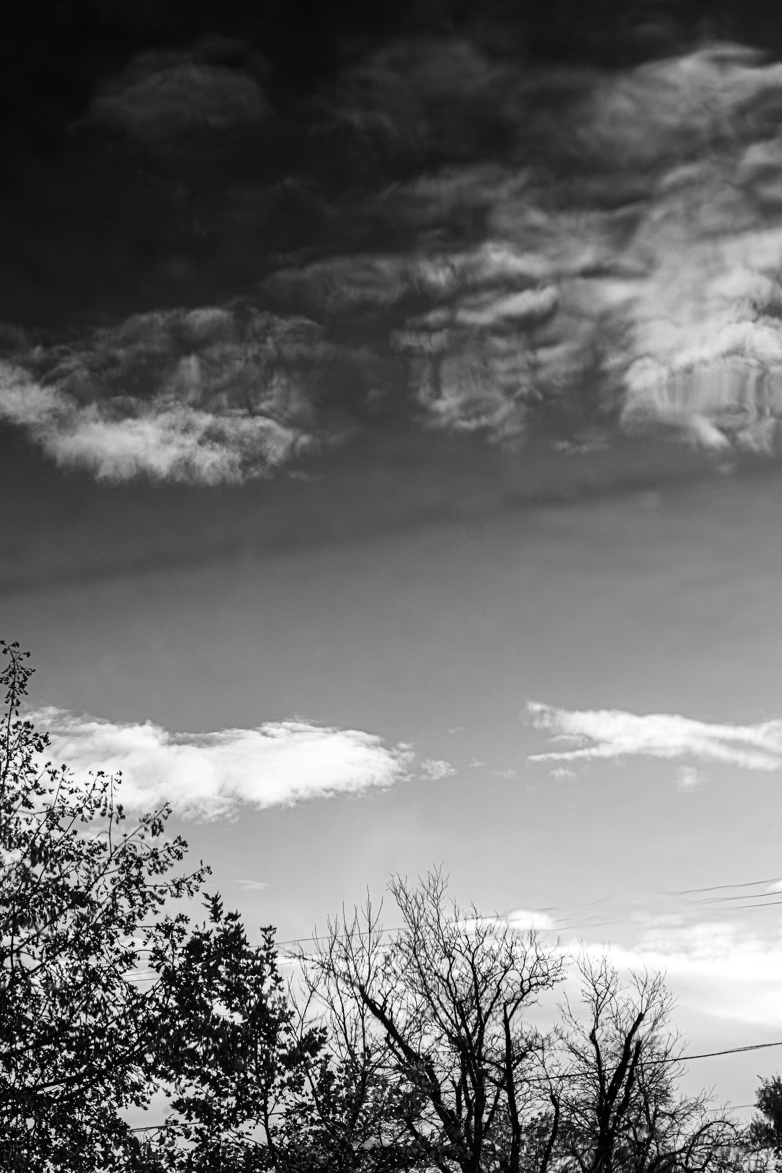 Reflected Trees and Sky Winter.JPG