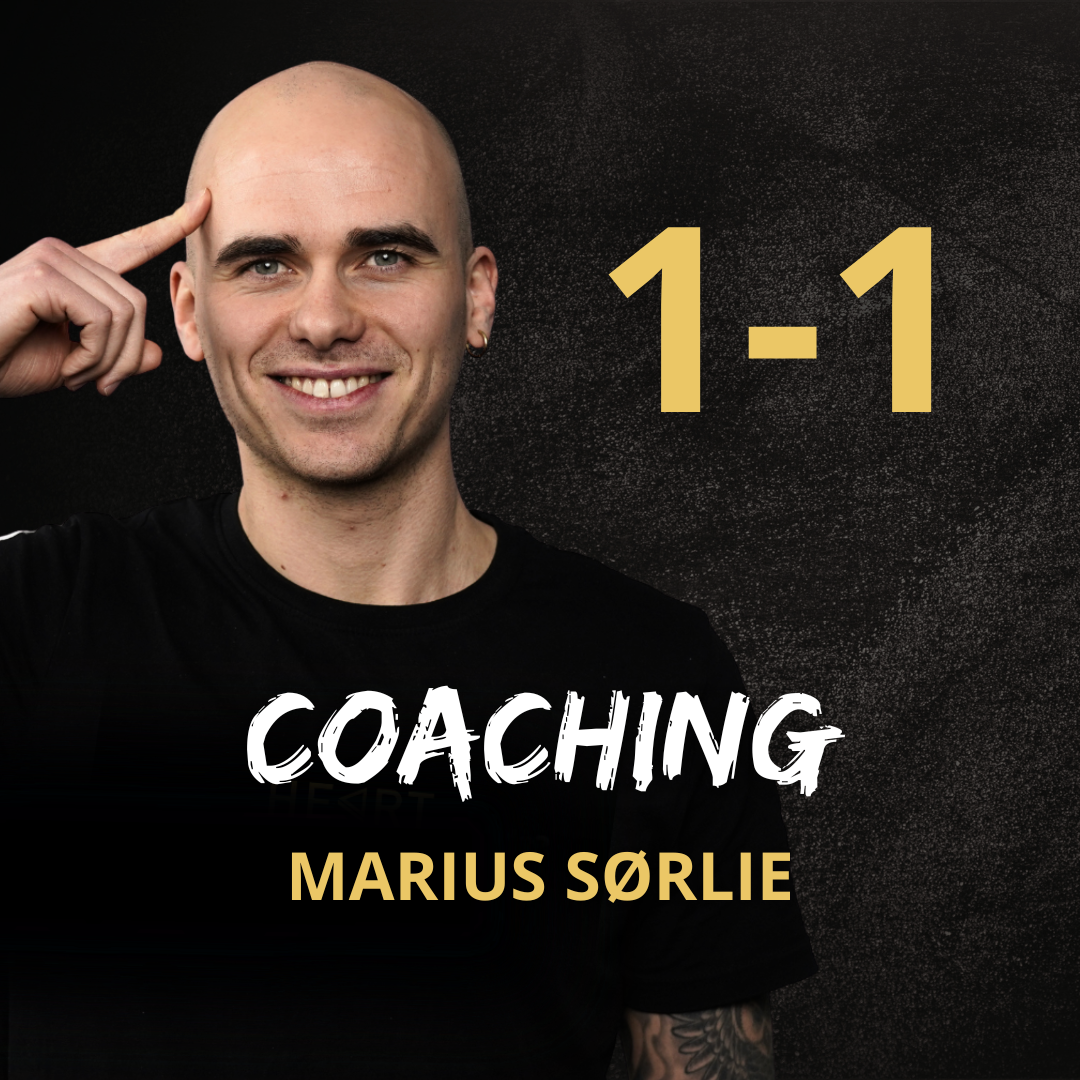 Garanti logp (2).png