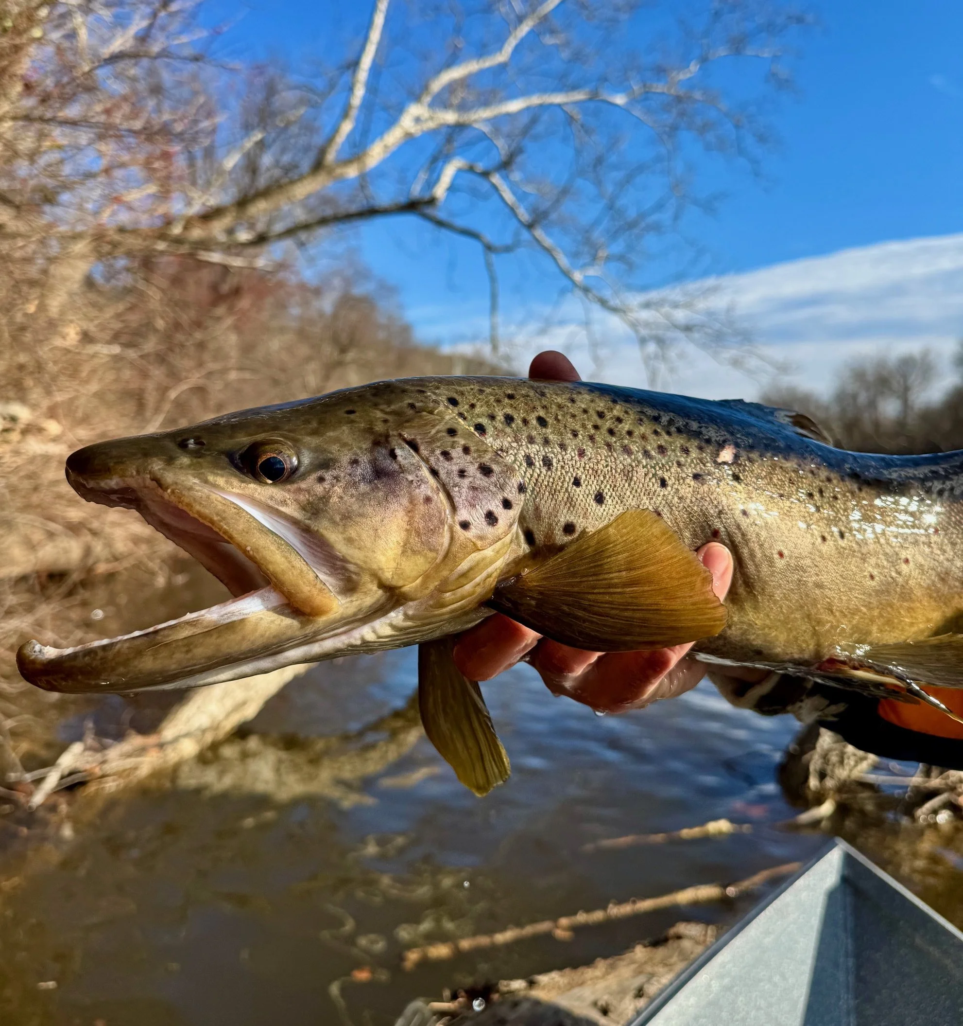 12-21-25 Searching Big Rivers