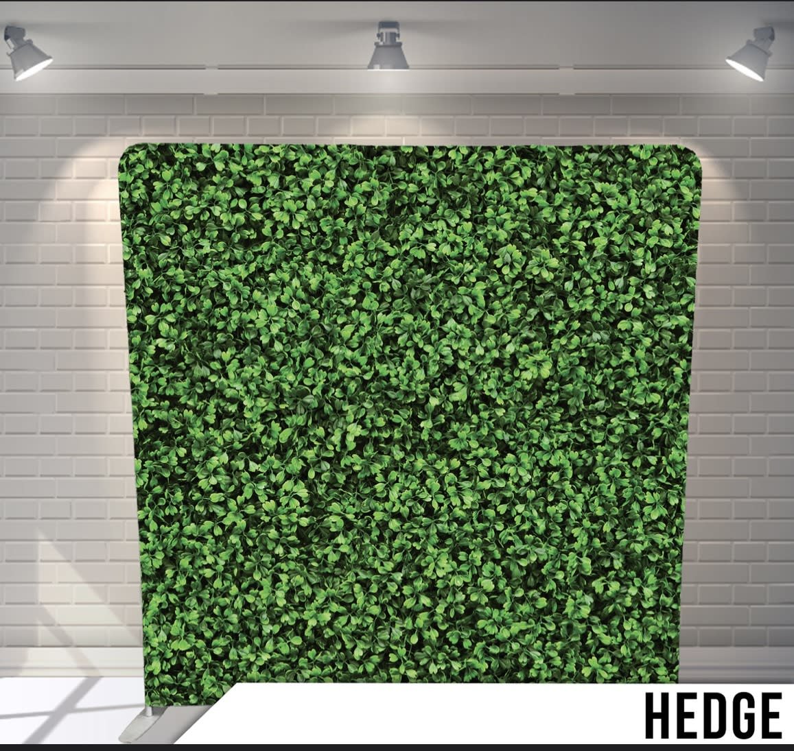 Hedge.jpg