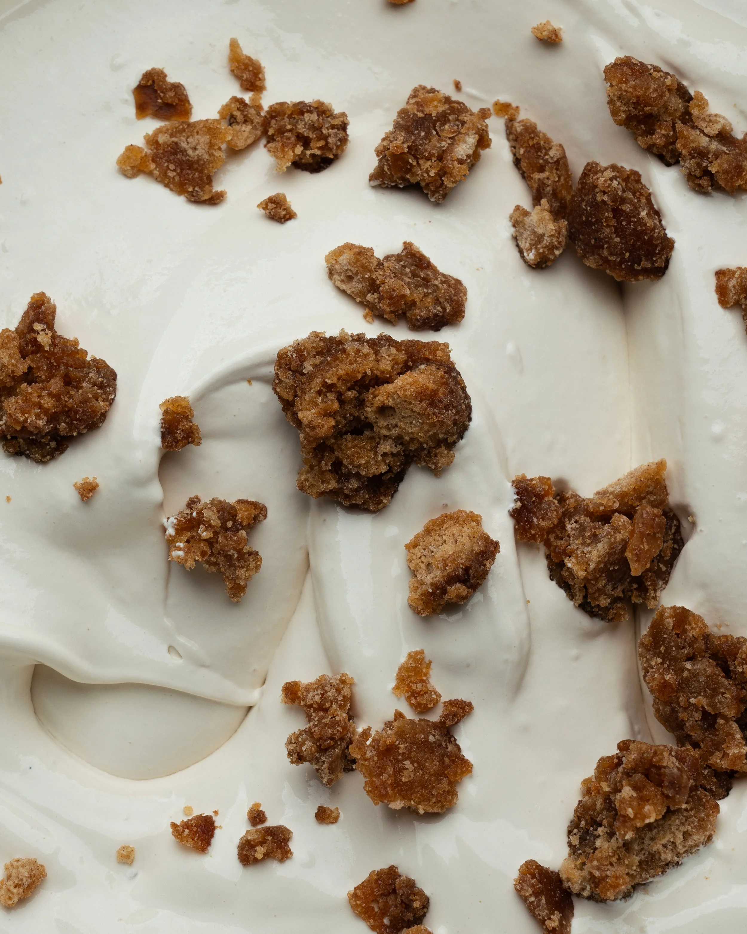 APPLE CIDER DONUT