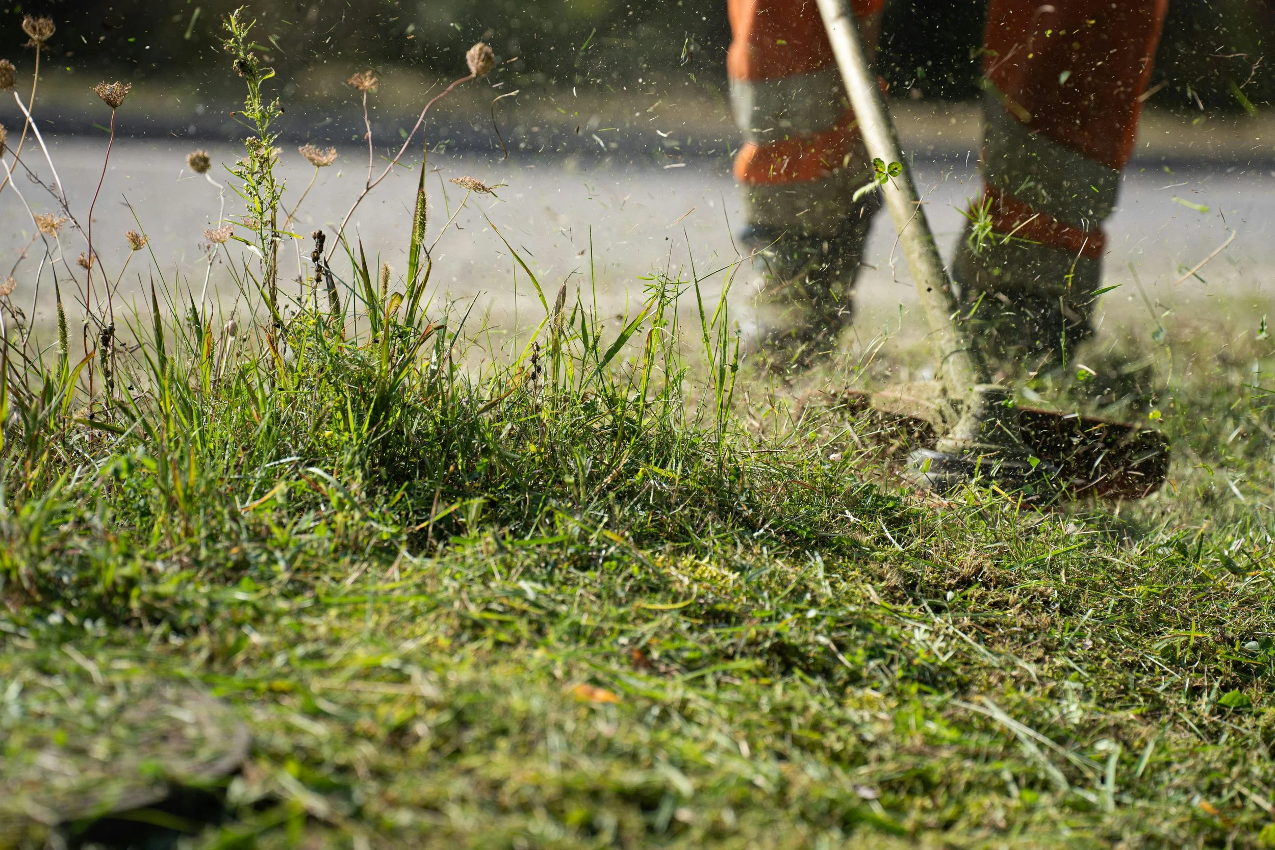 Tree & Shrub Care