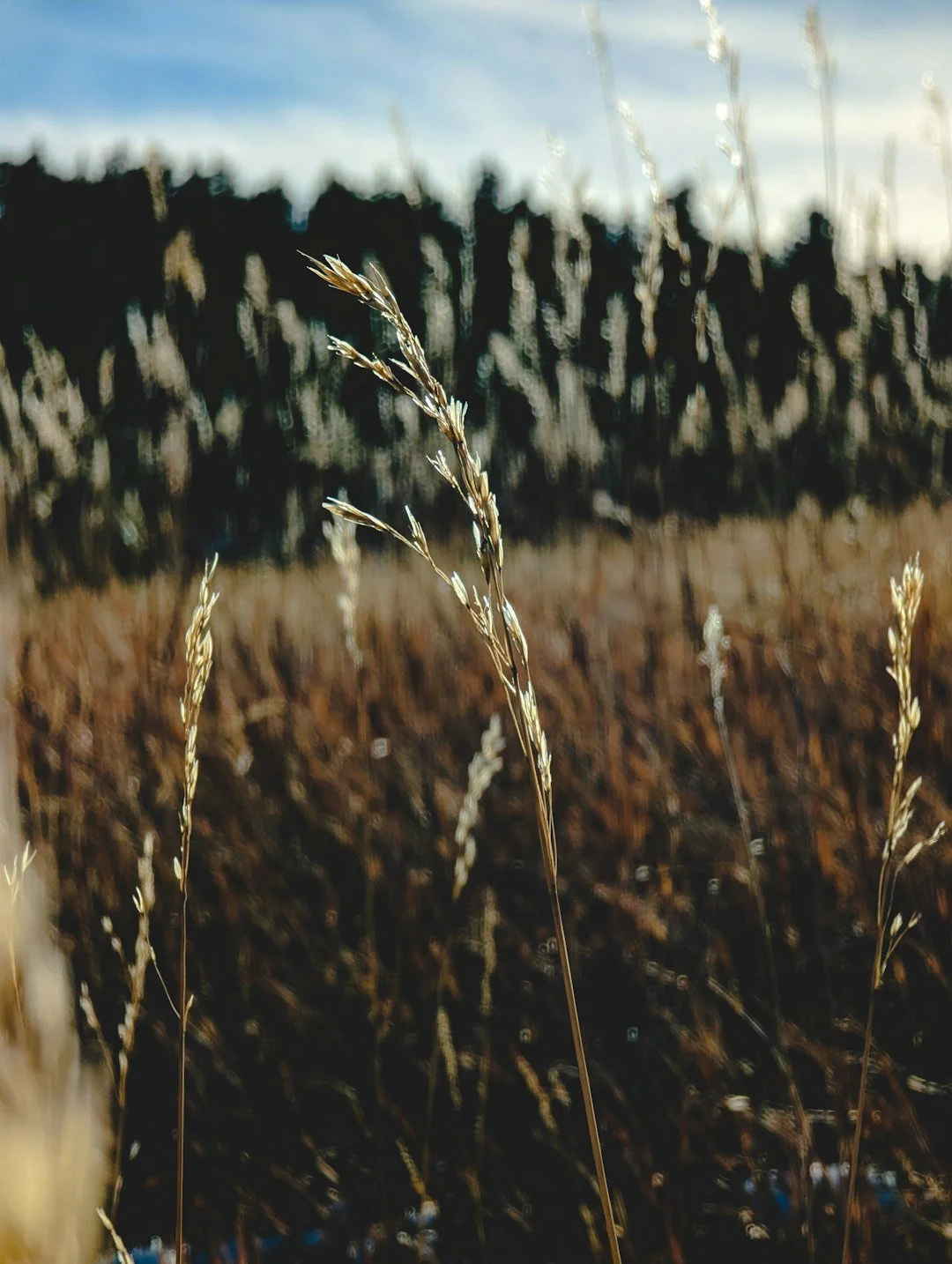 Writing Outside Your Story