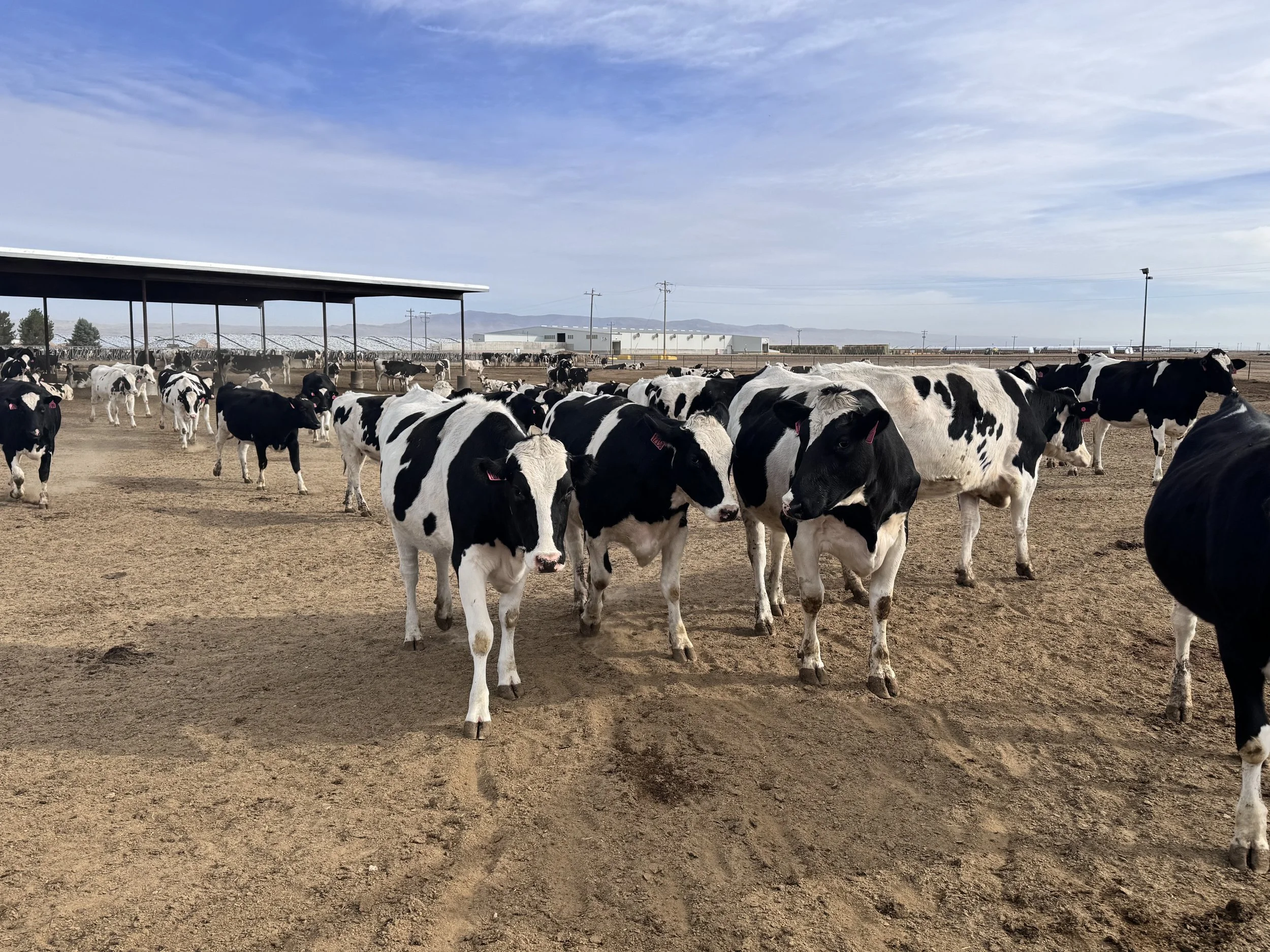 SDARL Visits Idaho for IAPAL Conference