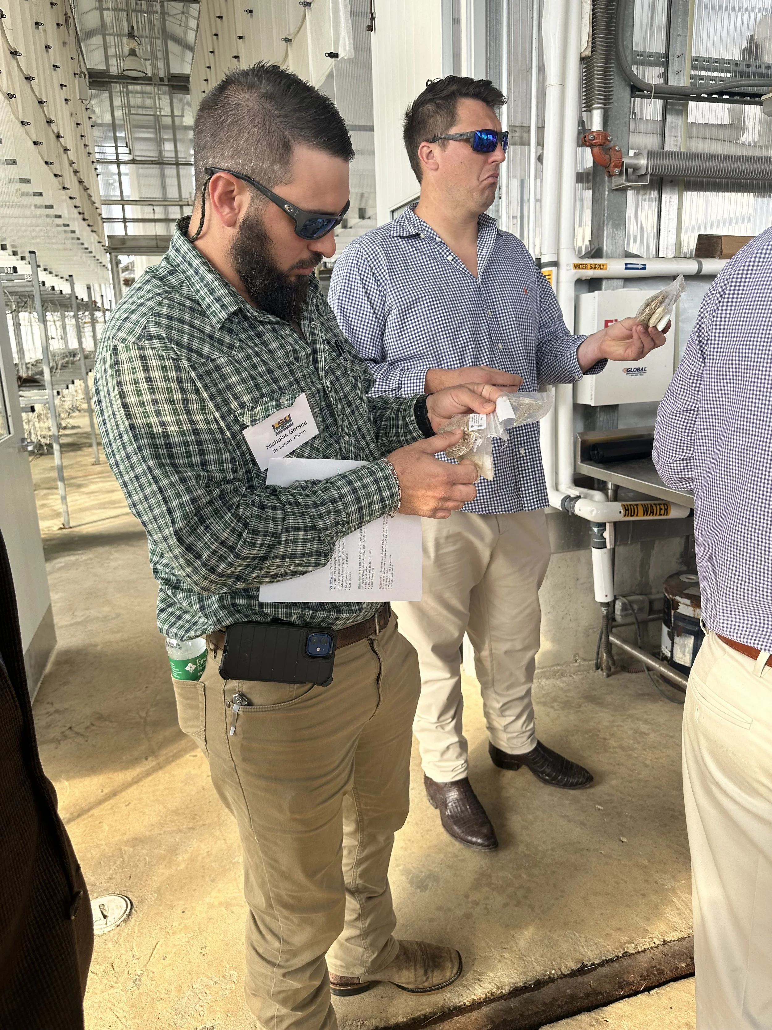 Sugarcane Research Facility in Houma, La