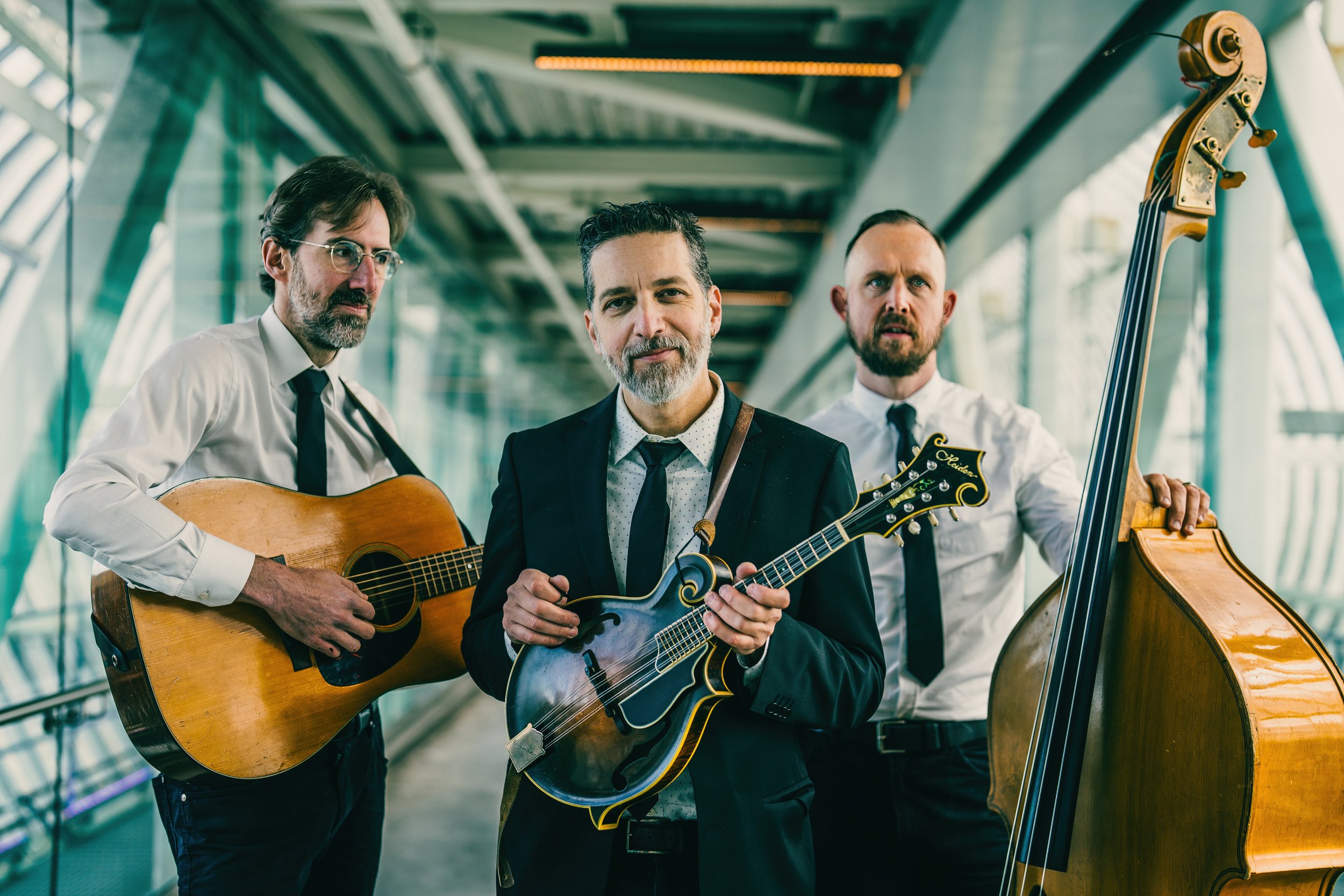Andrew Collins Trio