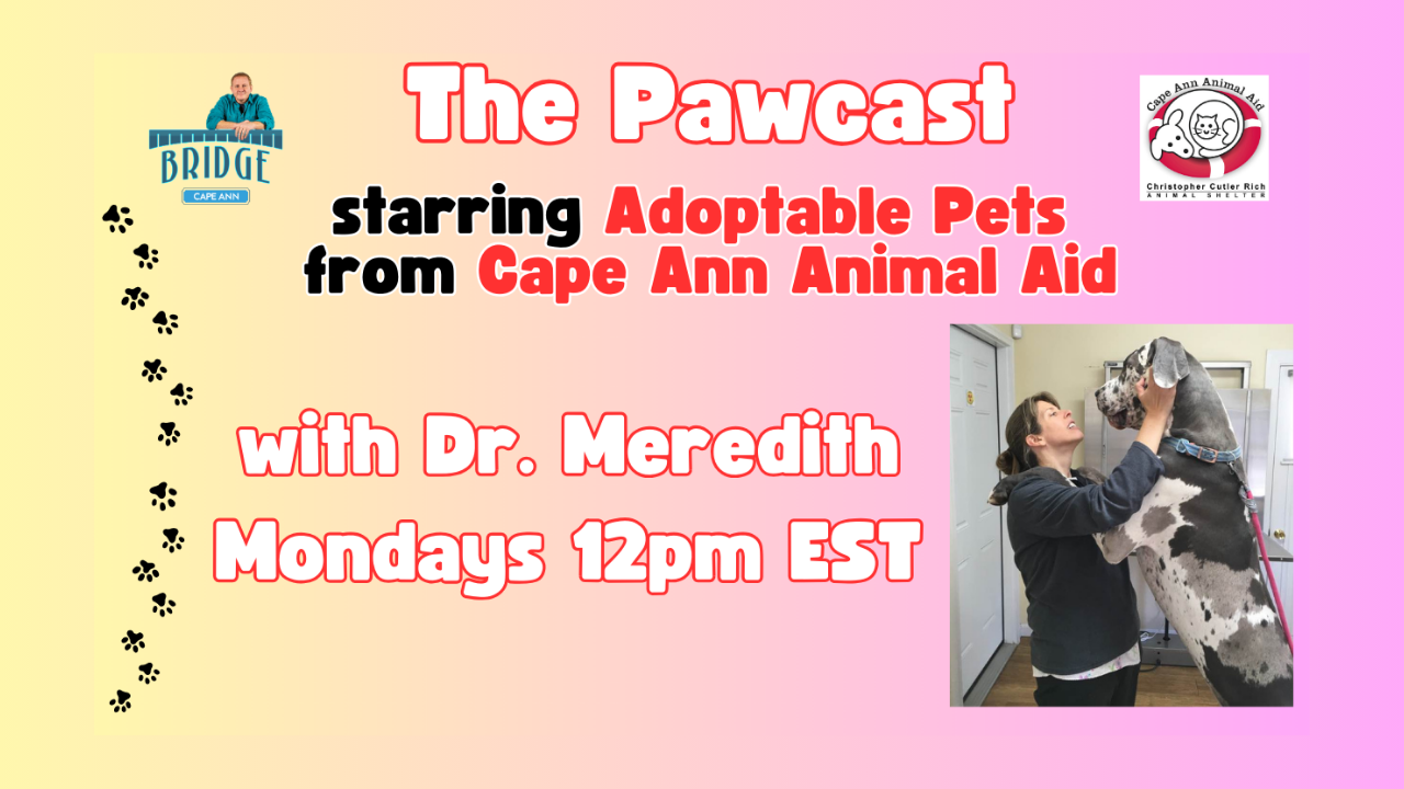 The Pawcast.png