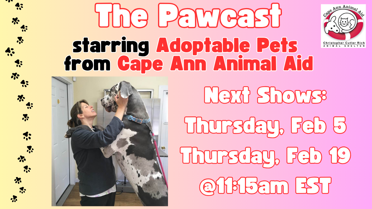 Pawcast Promo Panel (1).png