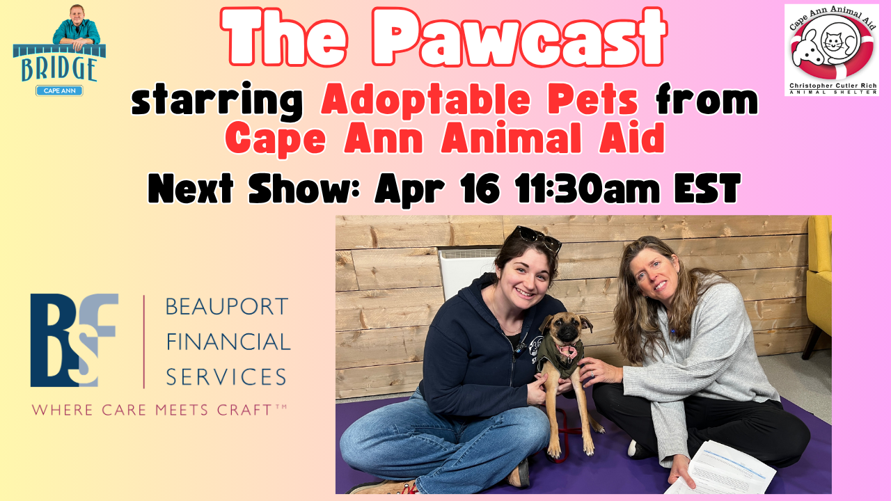 Pawcast Promo Panel (5).png