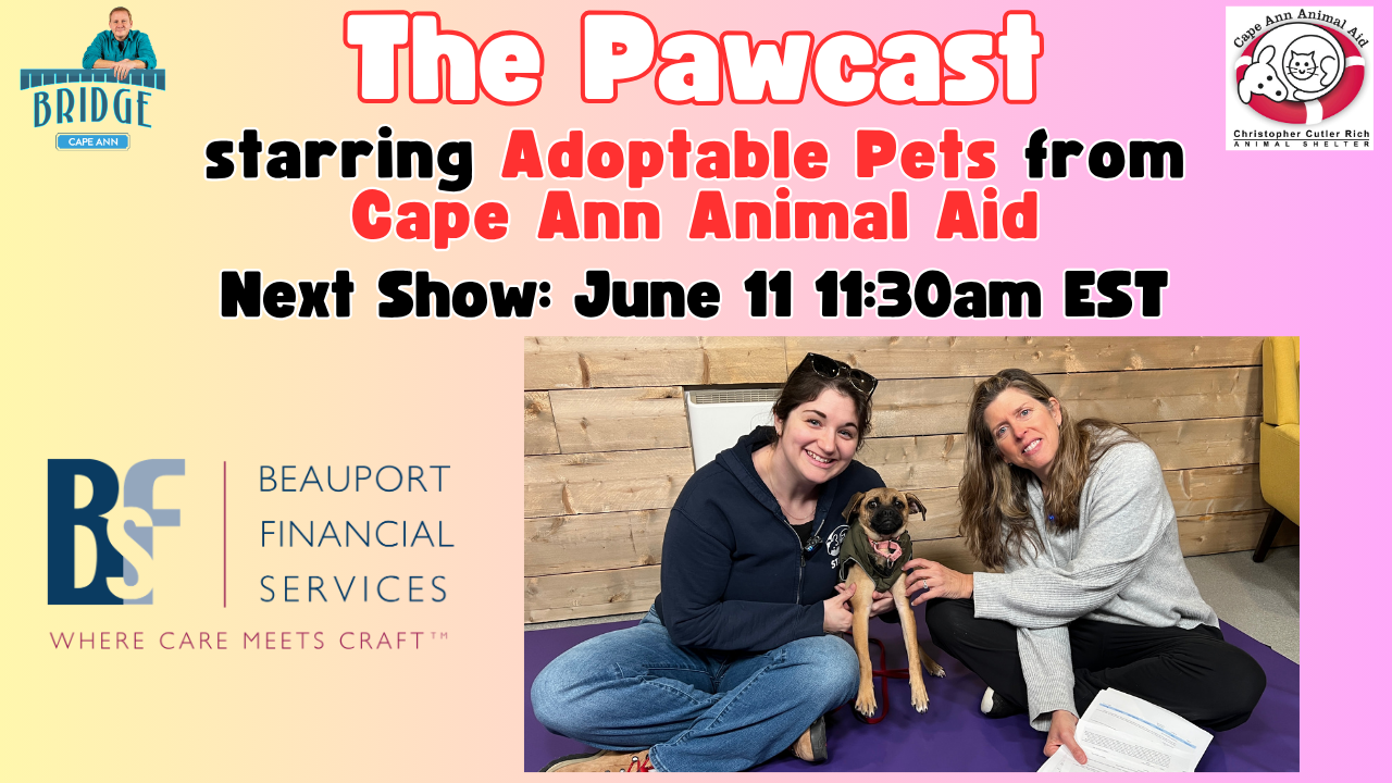 Pawcast Promo Panel (3).png