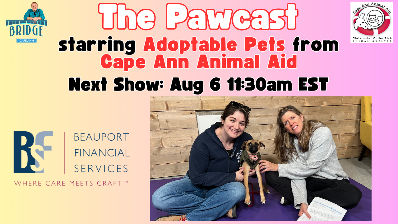 Pawcast Promo Panel (1).png