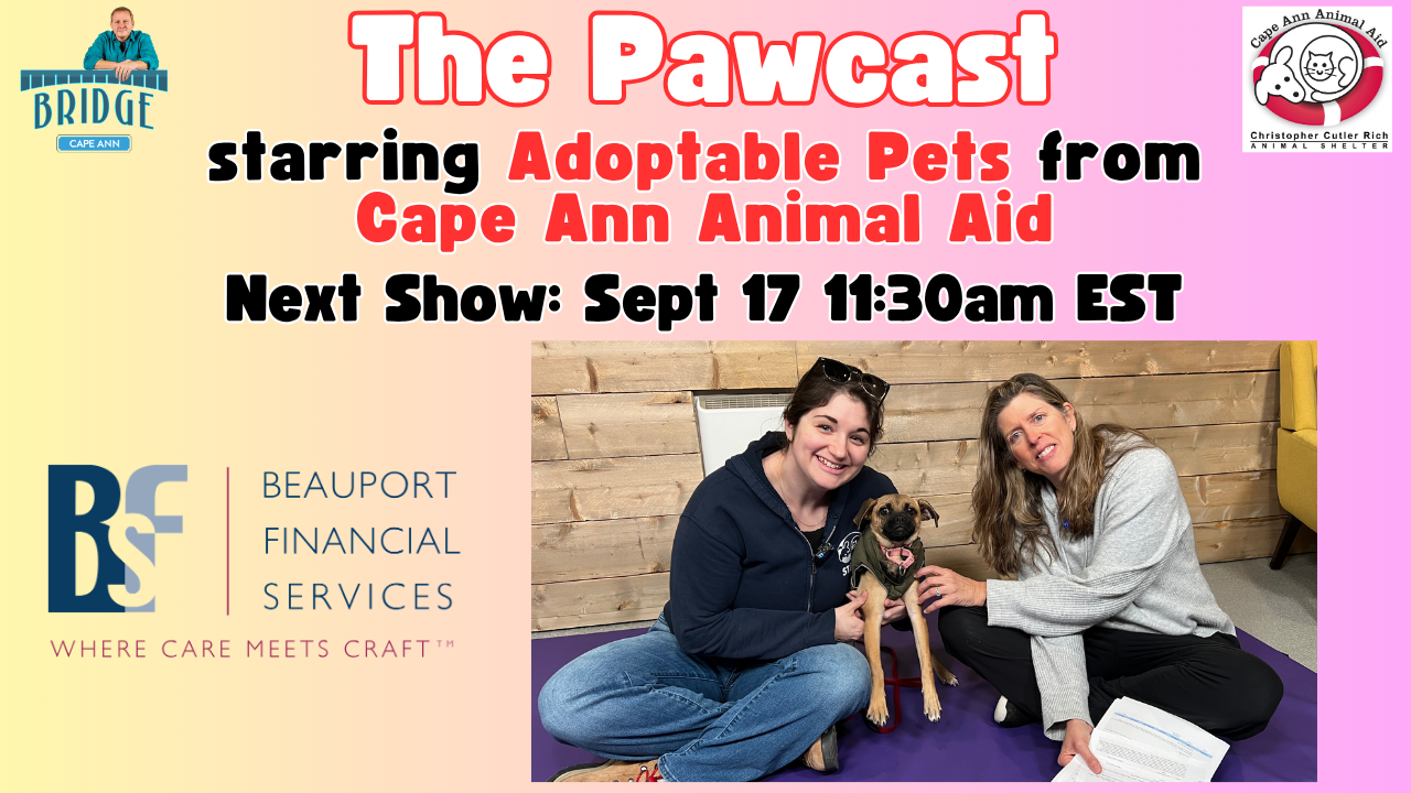 Pawcast Promo Panel.png