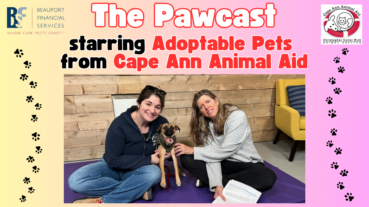 Pawcast Promo Panel (1).png