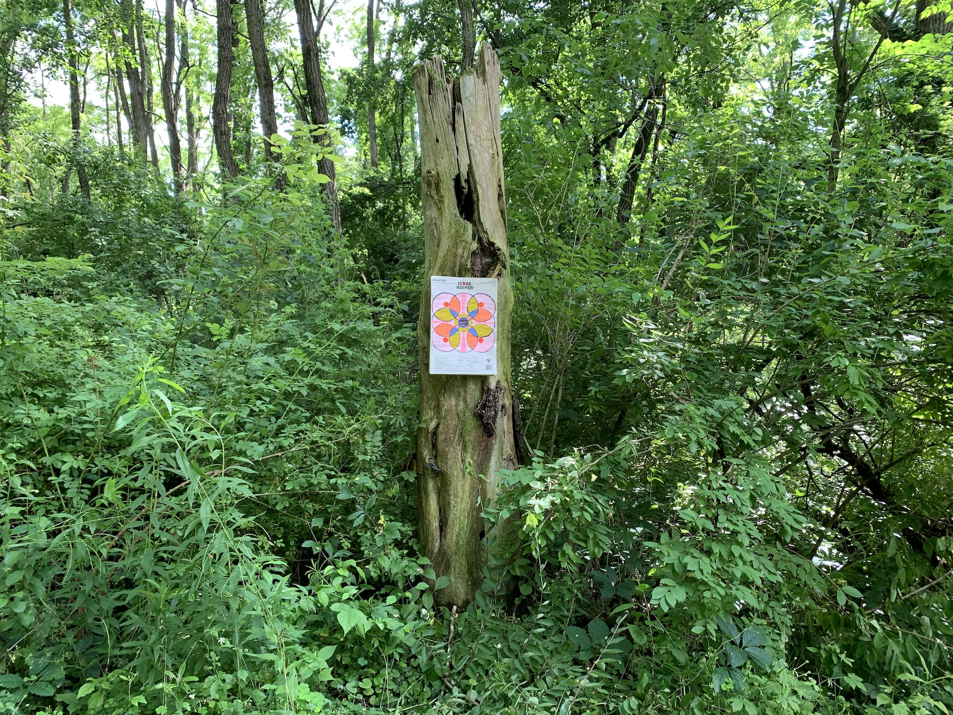 Crystalle Lacouture "MAMA Drawing 93" 2023, gouache and colored pencil on Score Keeper shooting target, 16" x 11" in North Adams, MA