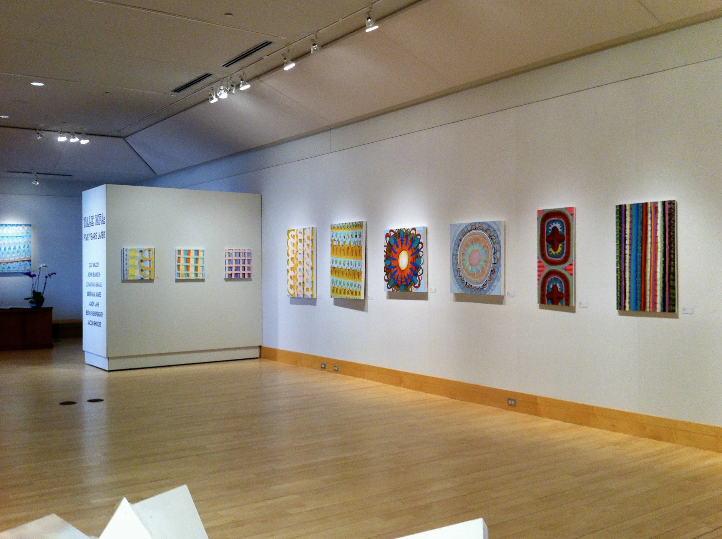 Installation View: Cat Balco