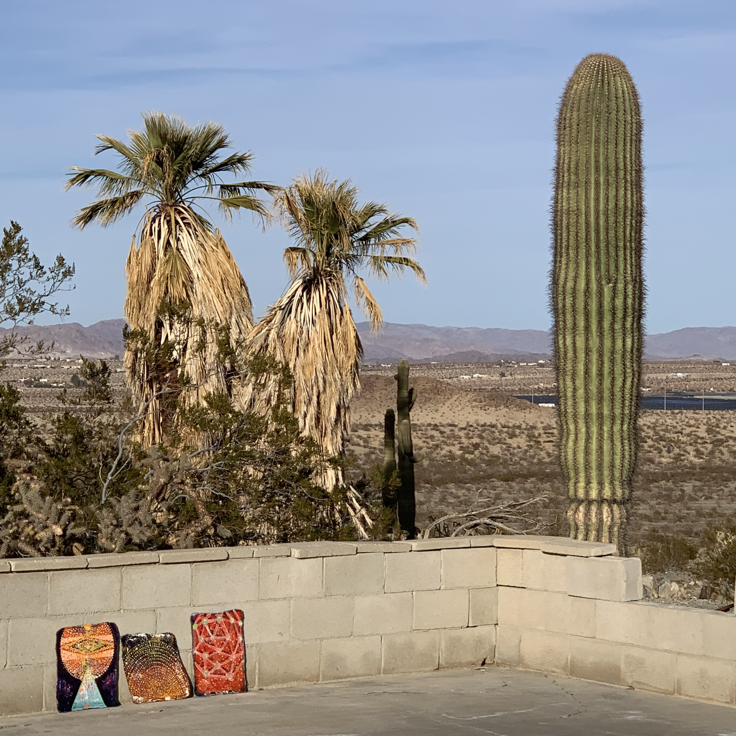 Jason Rohlf Shop Rags in Twentynine Palms, CA