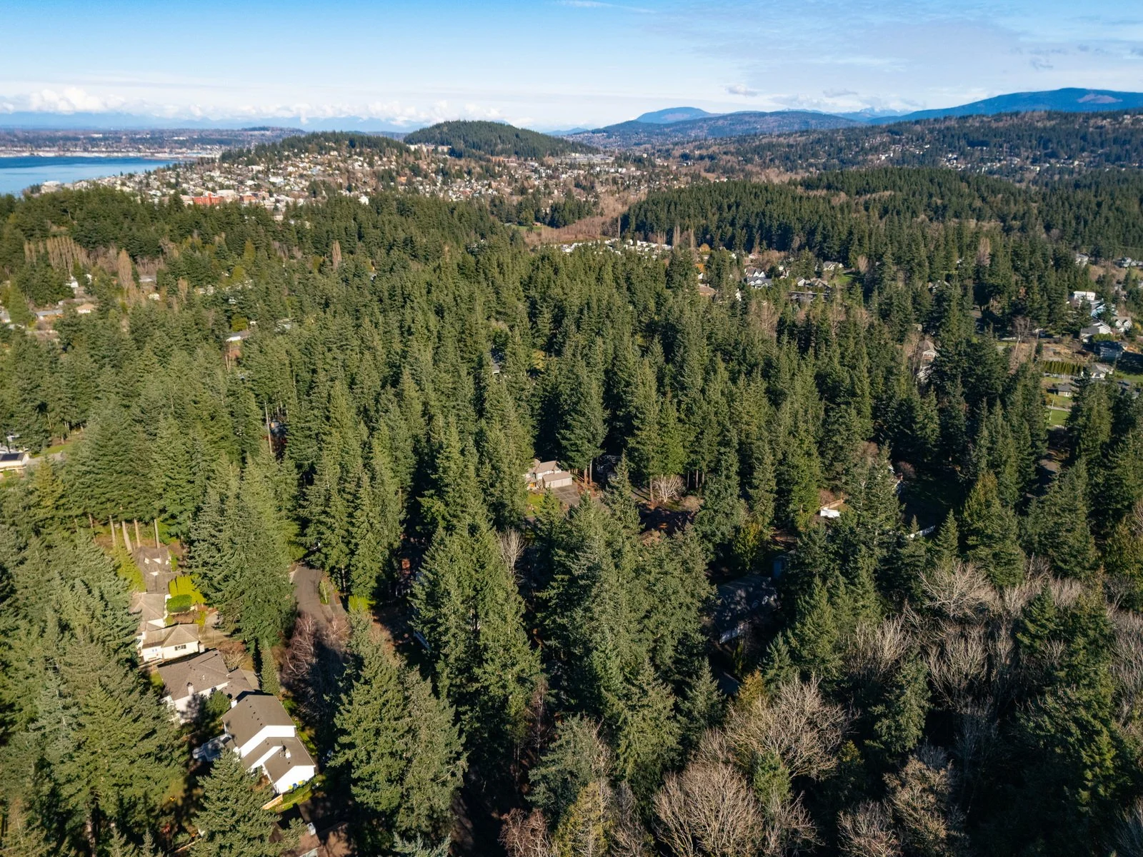 010_413_Viewcrest_Rd_AERIAL_Alana_Mey.jpg