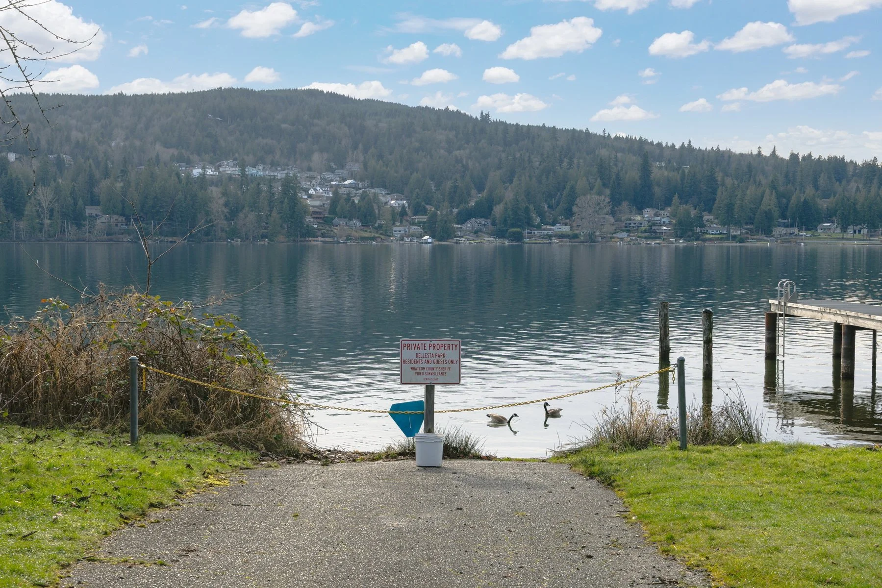 096_2129_Dellesta_Dr_Alana_Mey (1).jpg